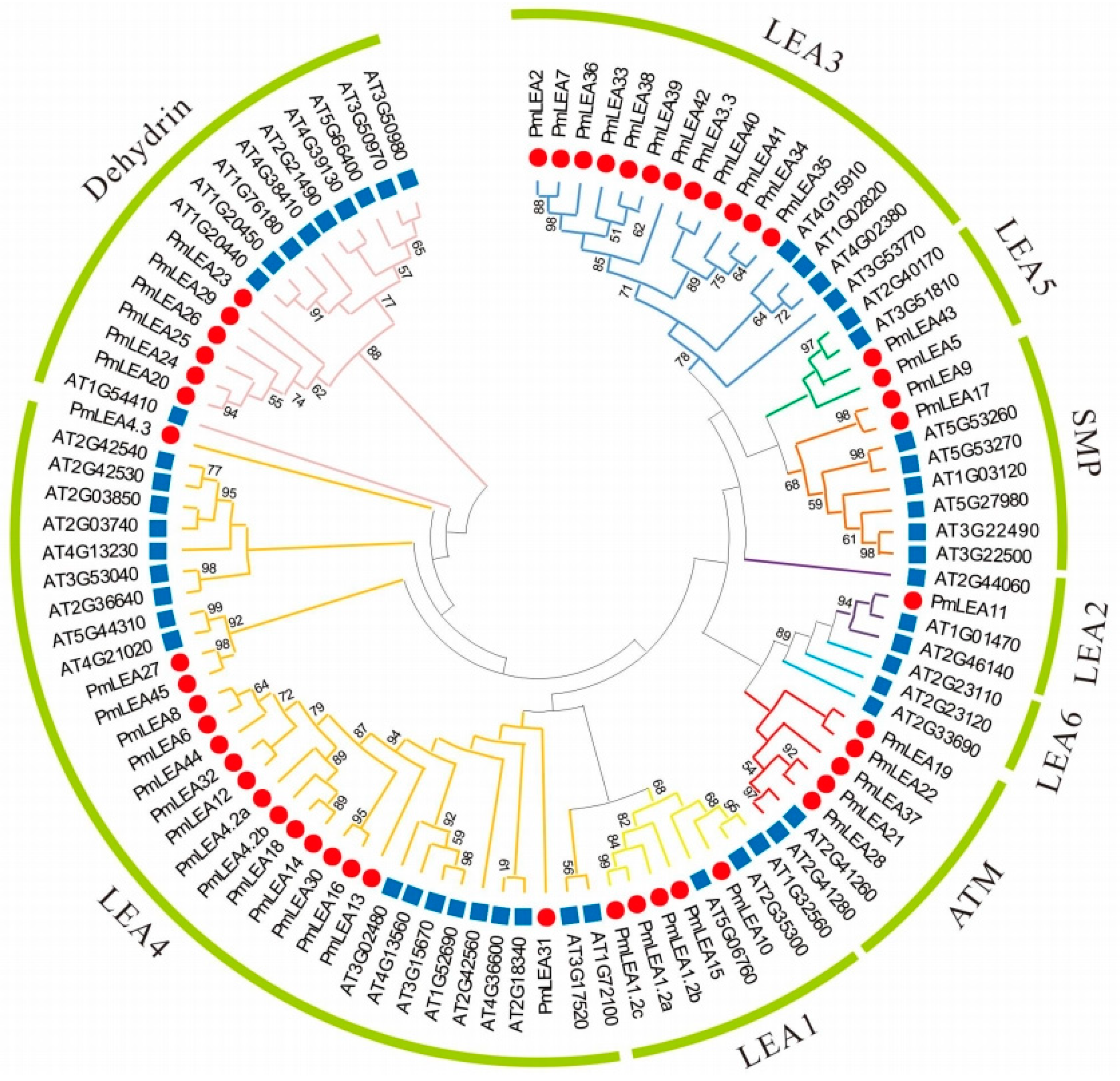 Forests 15 01988 g001 Forests 15 01988 g001