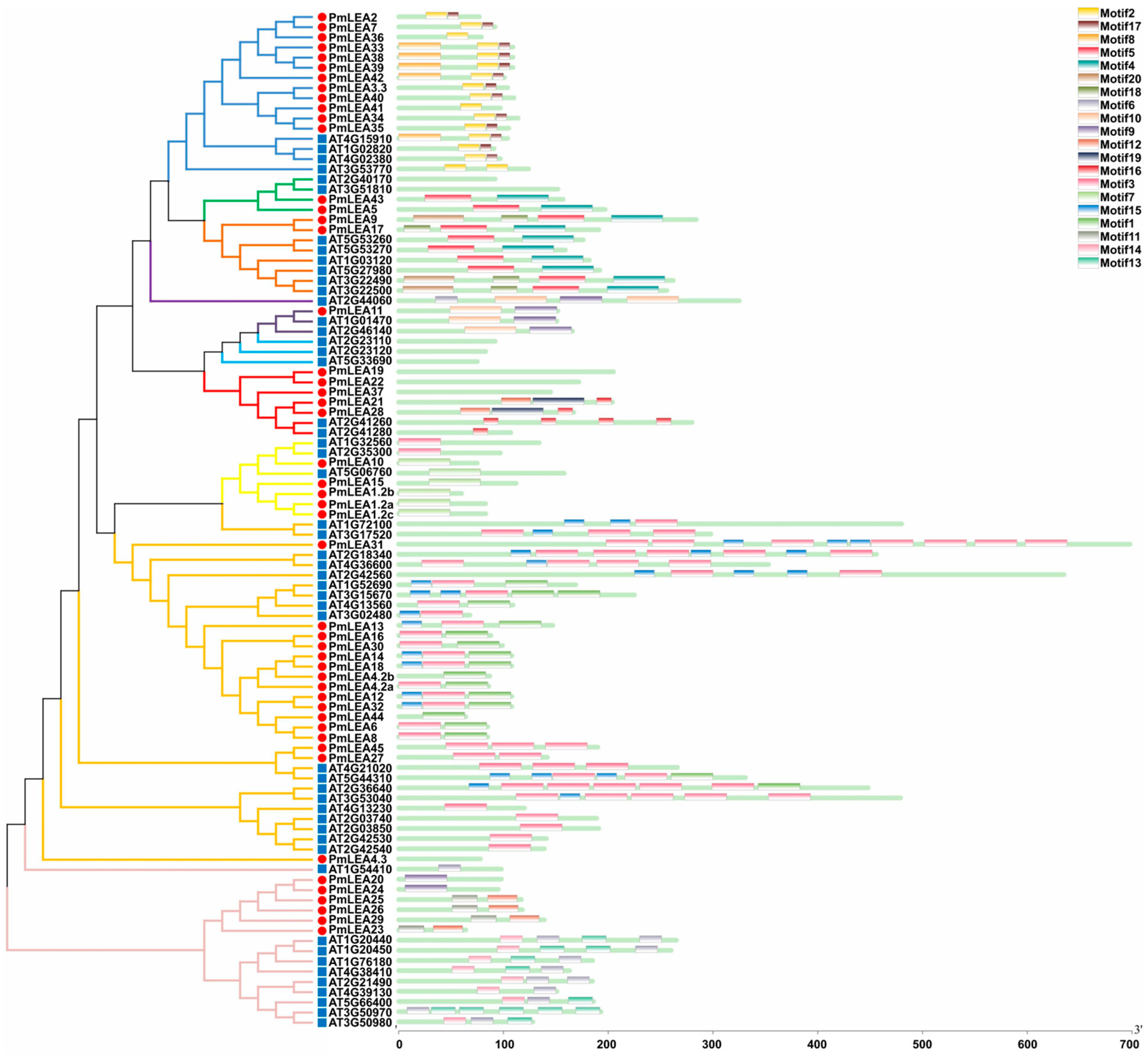 Forests 15 01988 g002 Forests 15 01988 g002