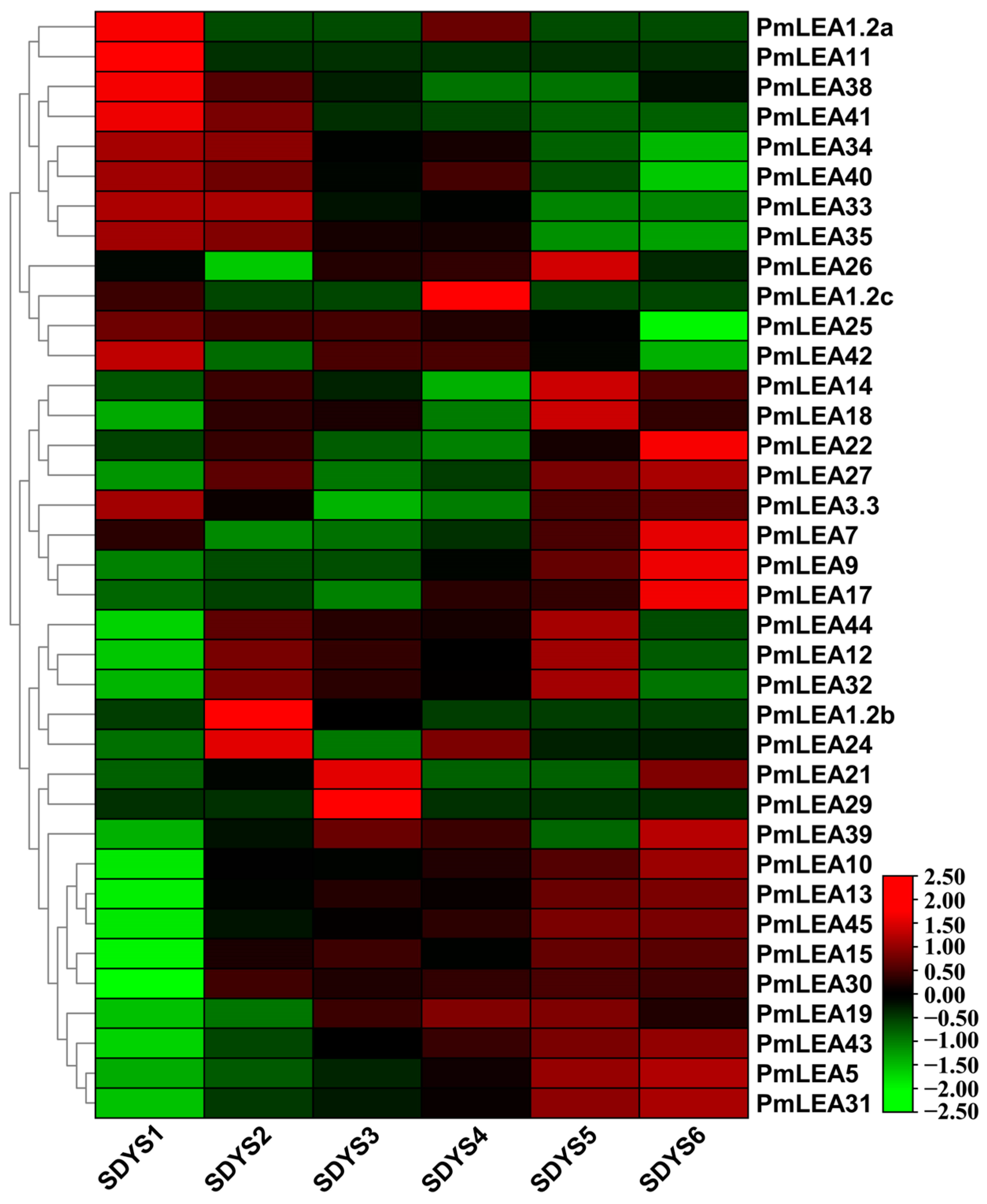 Forests 15 01988 g003 Forests 15 01988 g003