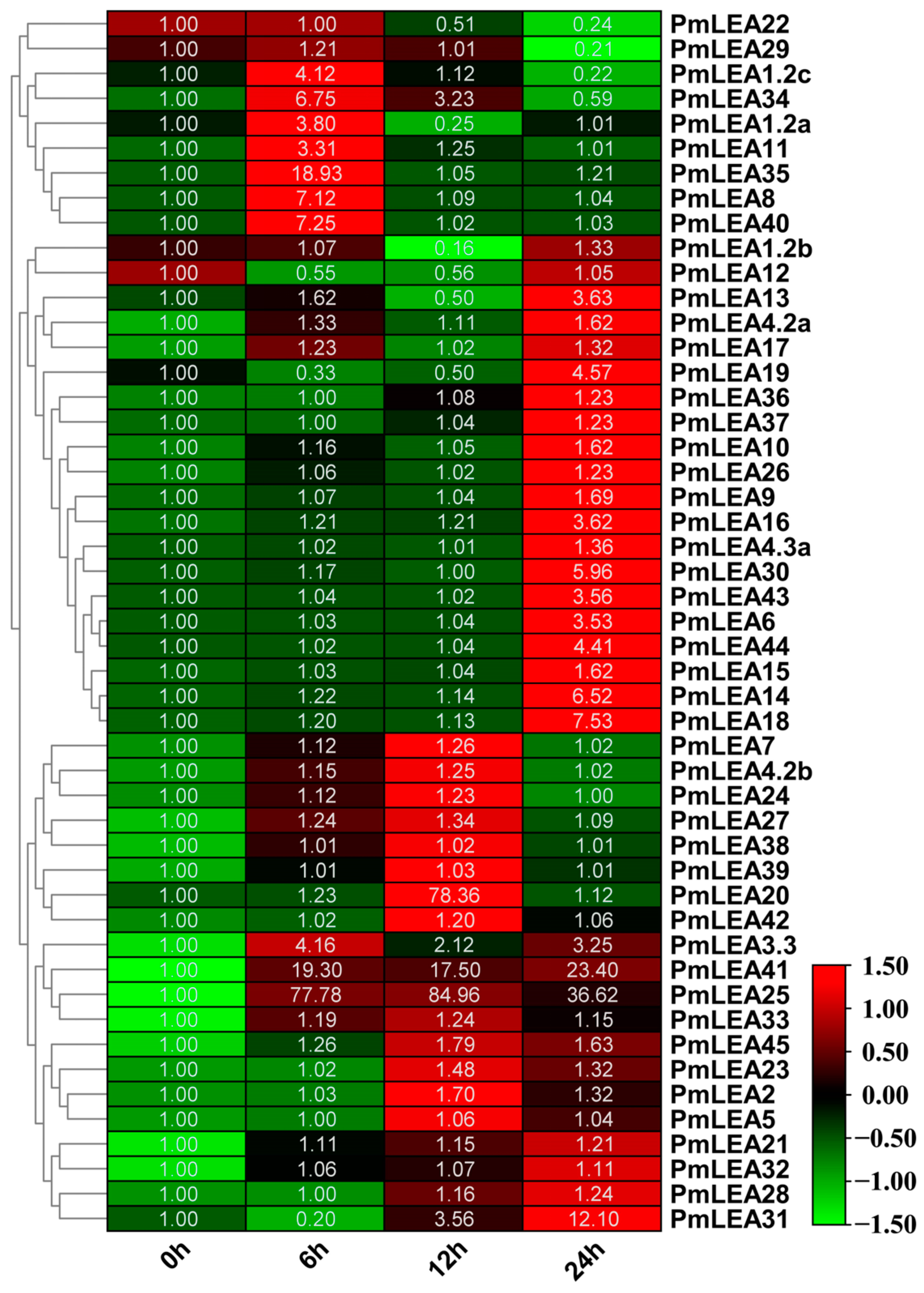 Forests 15 01988 g004 Forests 15 01988 g004