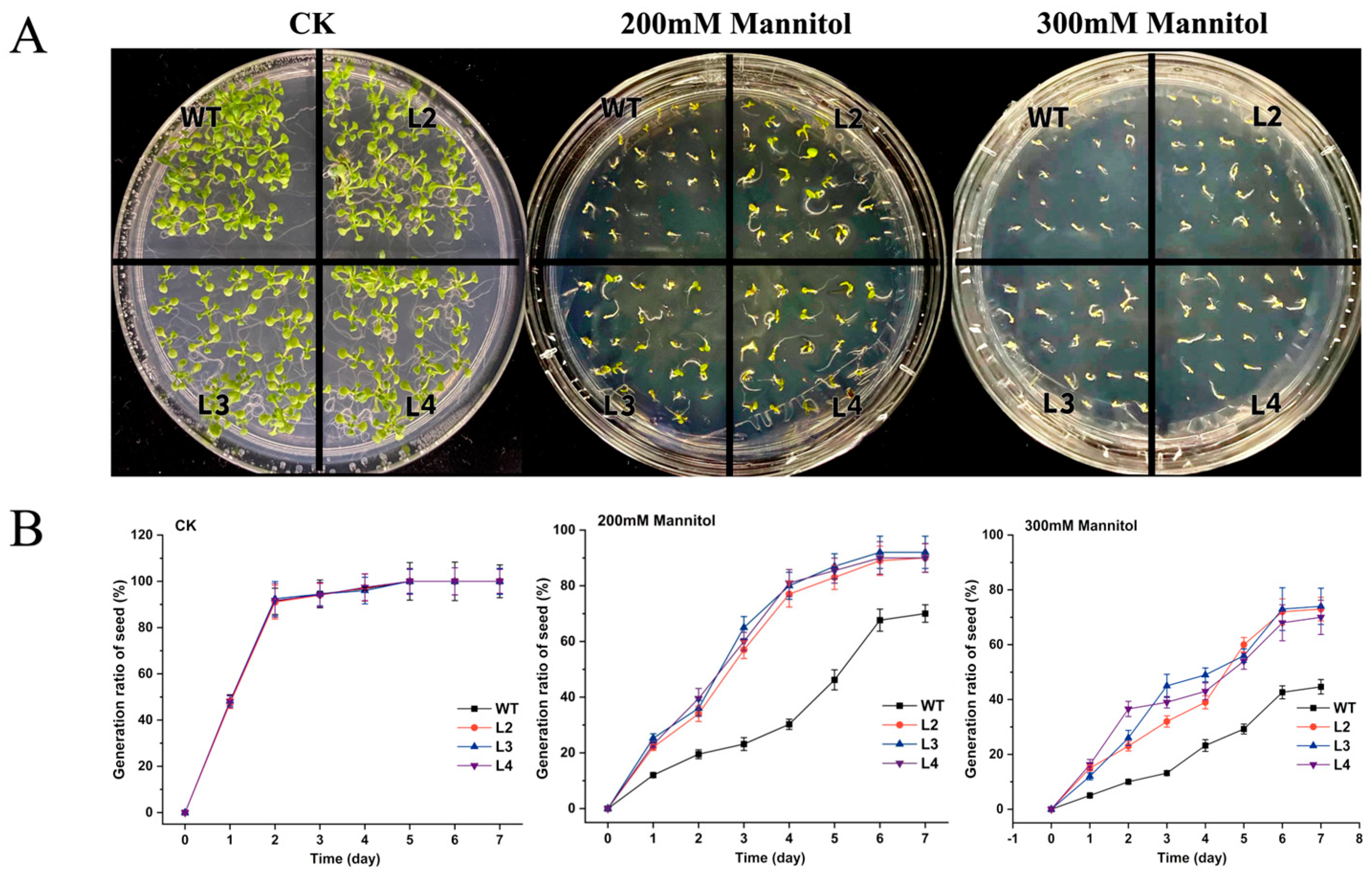 Forests 15 01988 g006 Forests 15 01988 g006