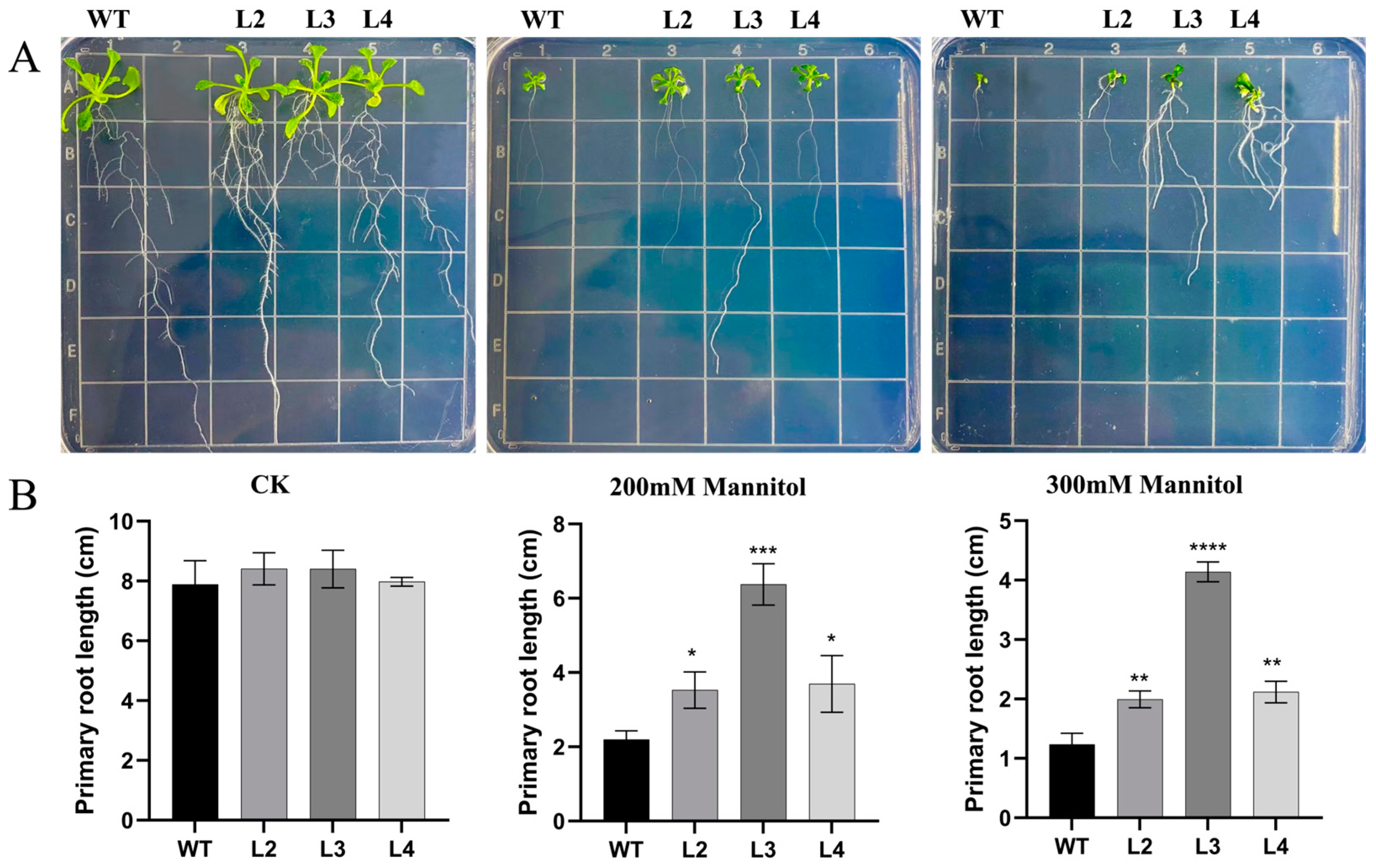 Forests 15 01988 g007 Forests 15 01988 g007