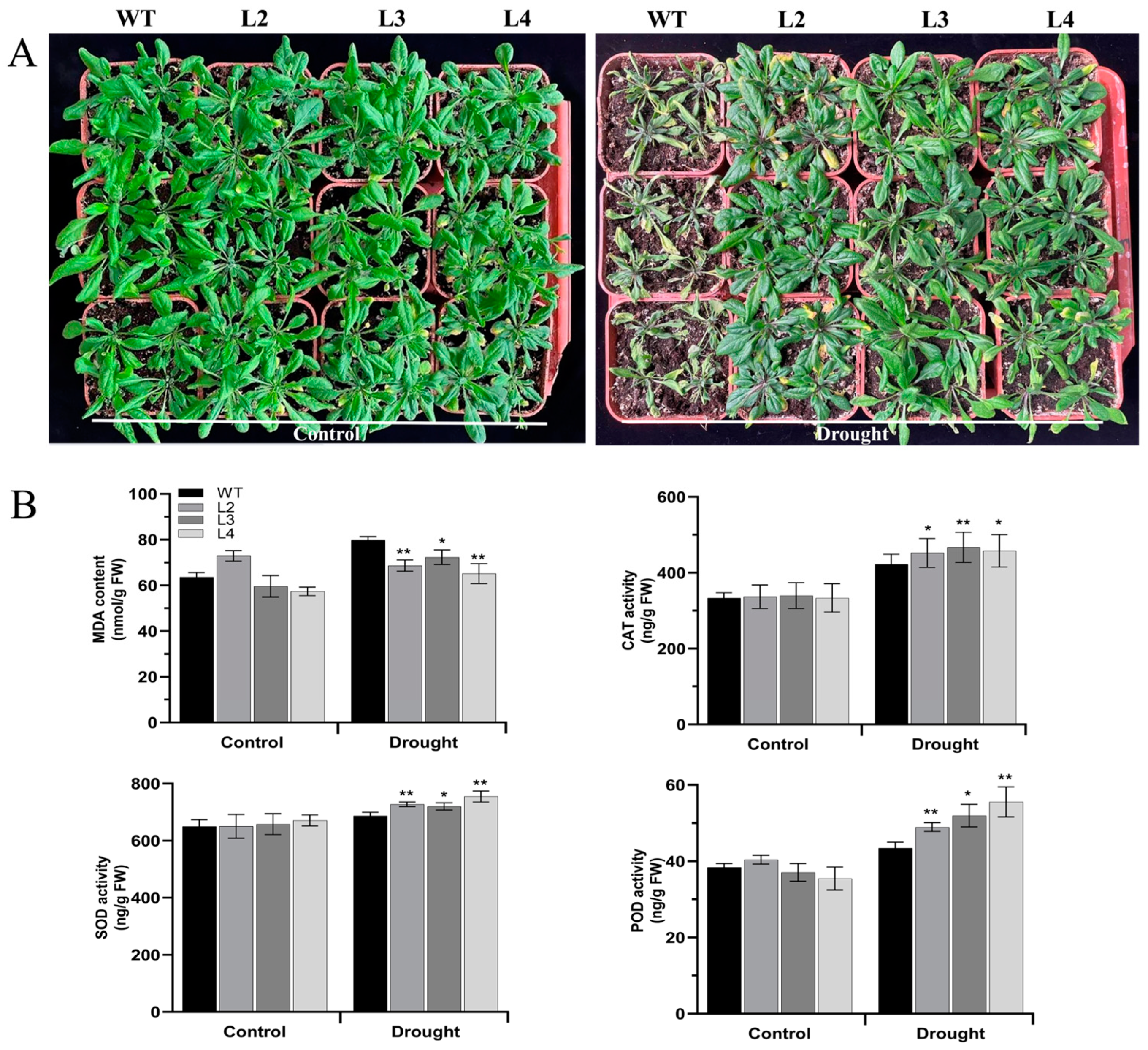 Forests 15 01988 g008 Forests 15 01988 g008