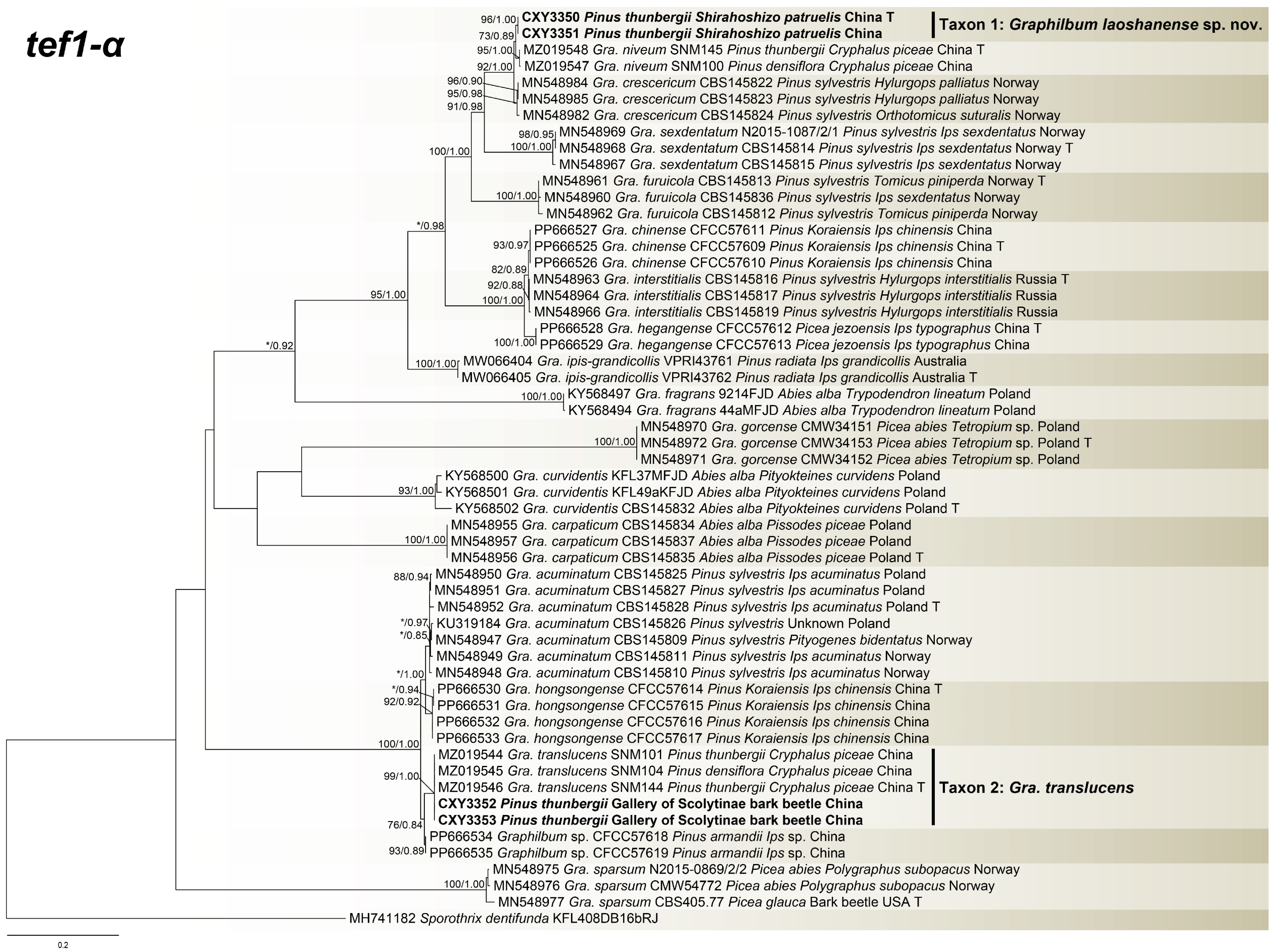 Forests 15 01990 g001