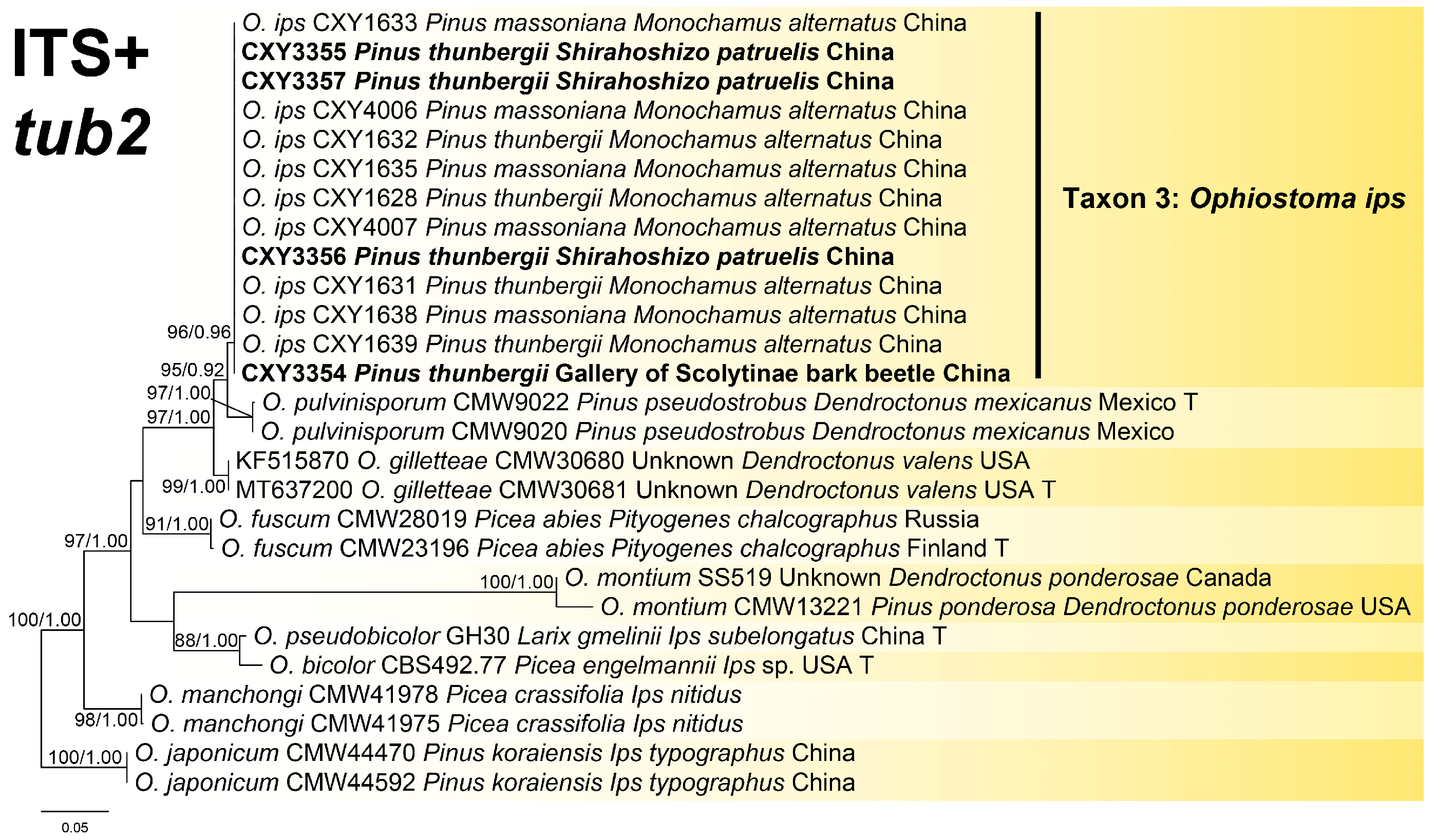 Forests 15 01990 g002