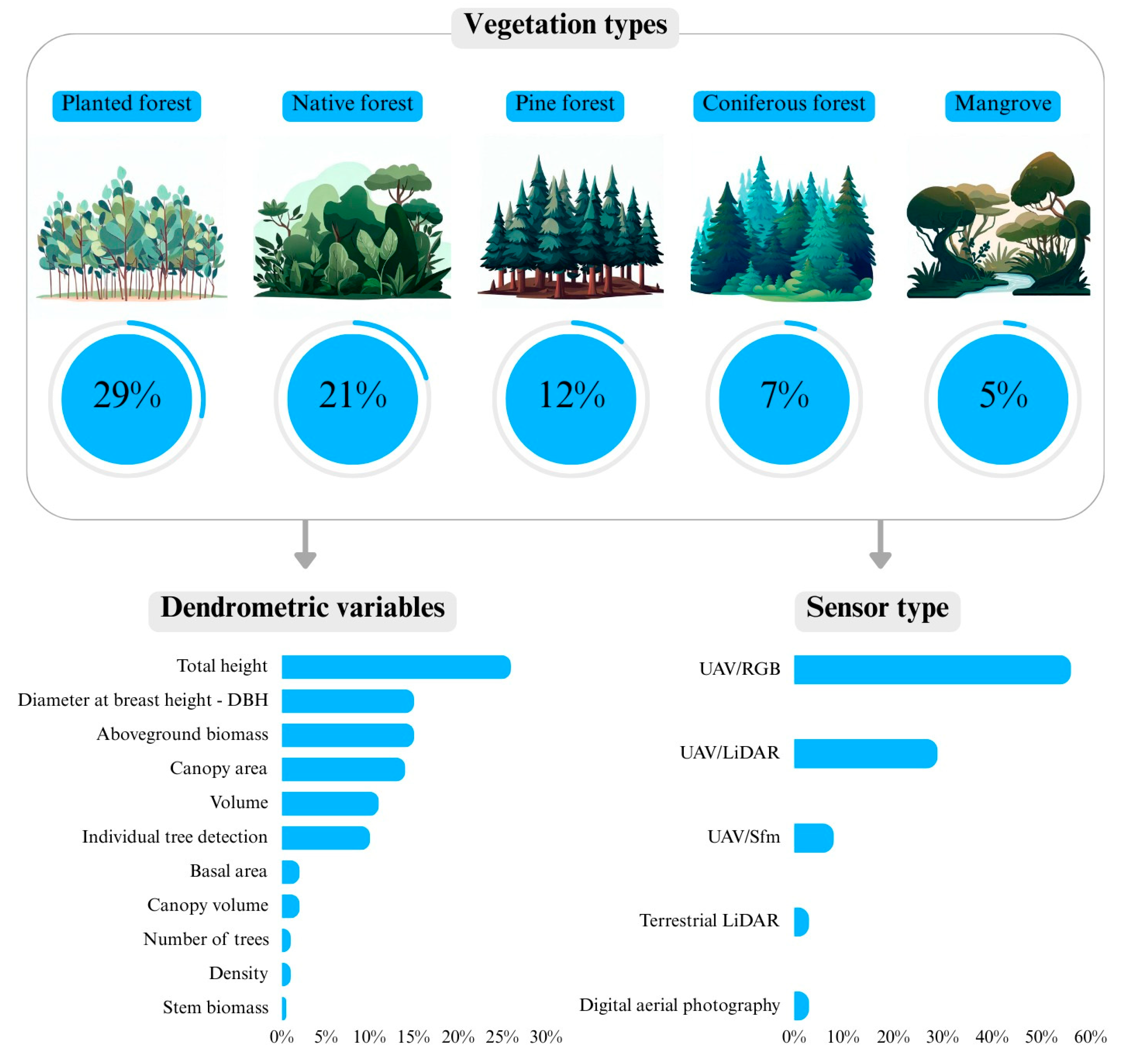 Forests 15 01993 g005