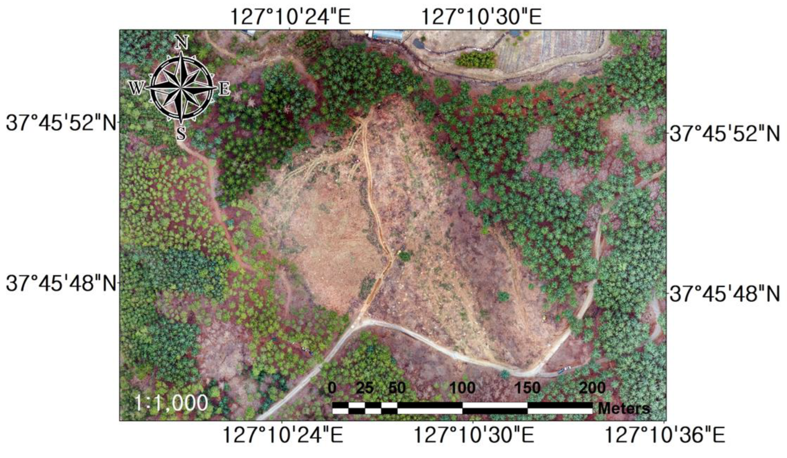 Forests 15 01994 g007