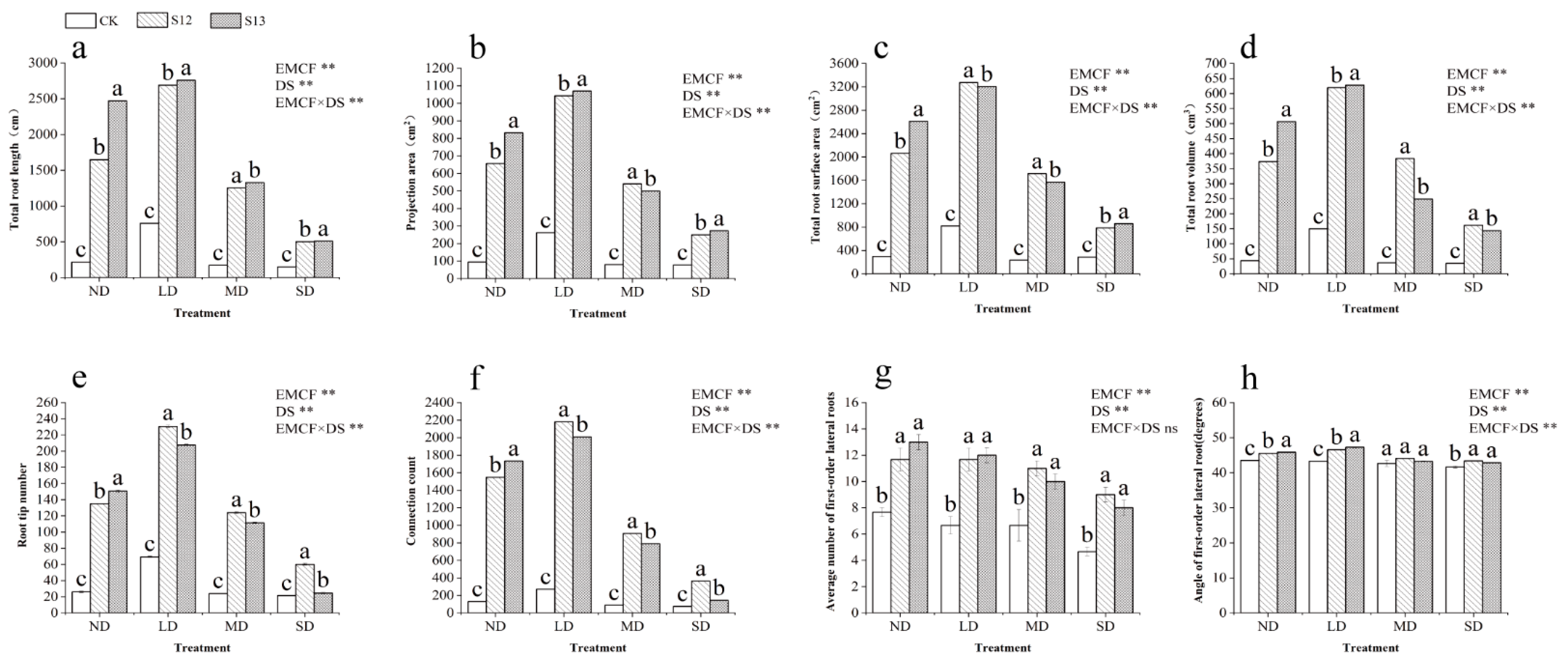 Forests 15 01997 g001