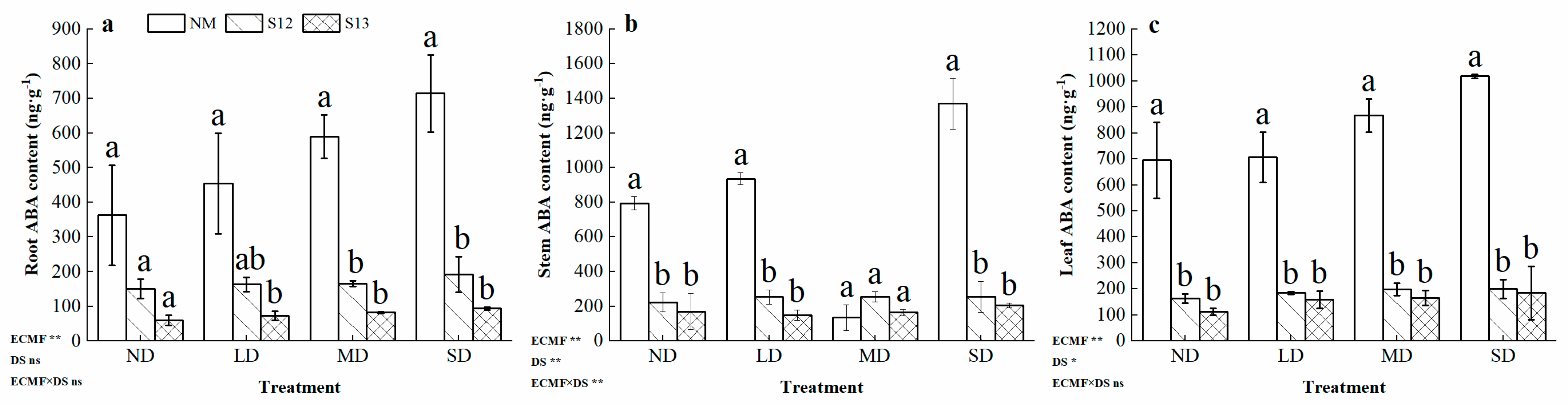 Forests 15 01997 g005