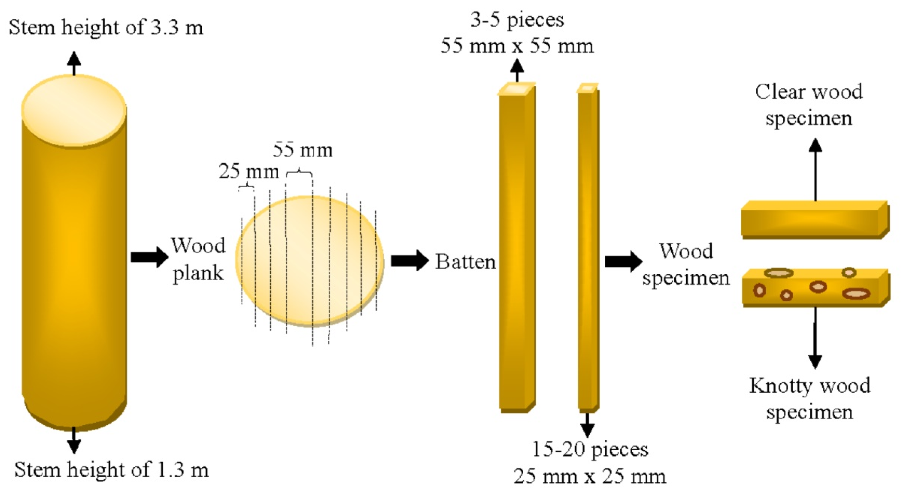 Forests 15 02007 g002