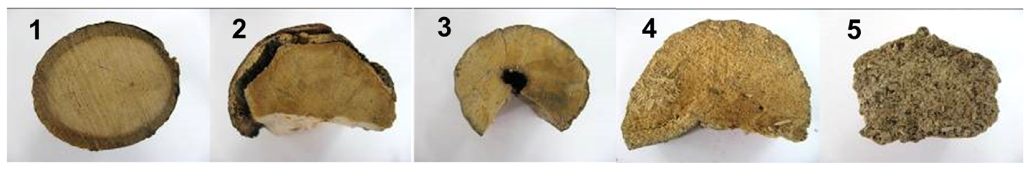 Forests 15 02009 g002