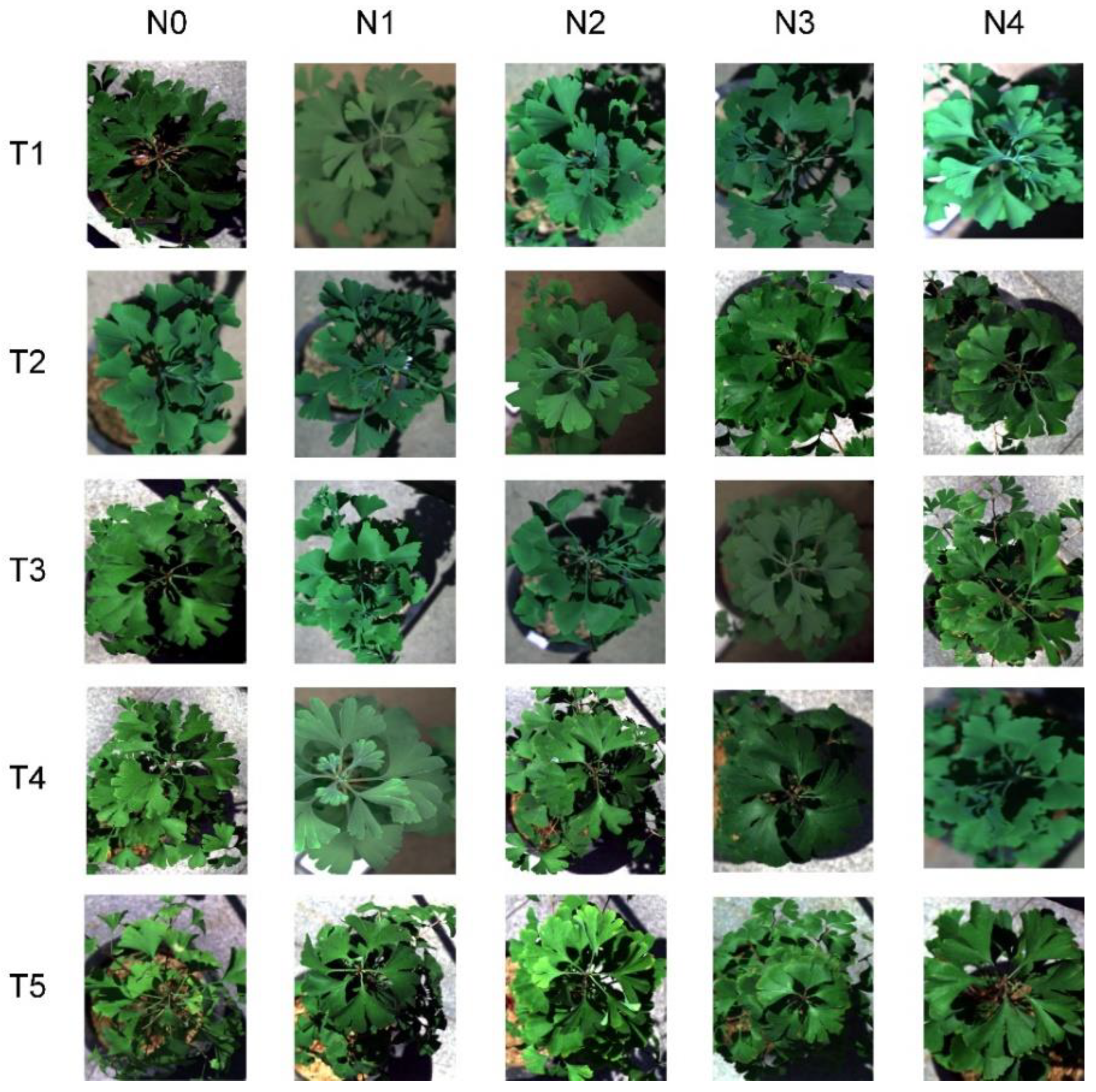 Forests 15 02010 g003
