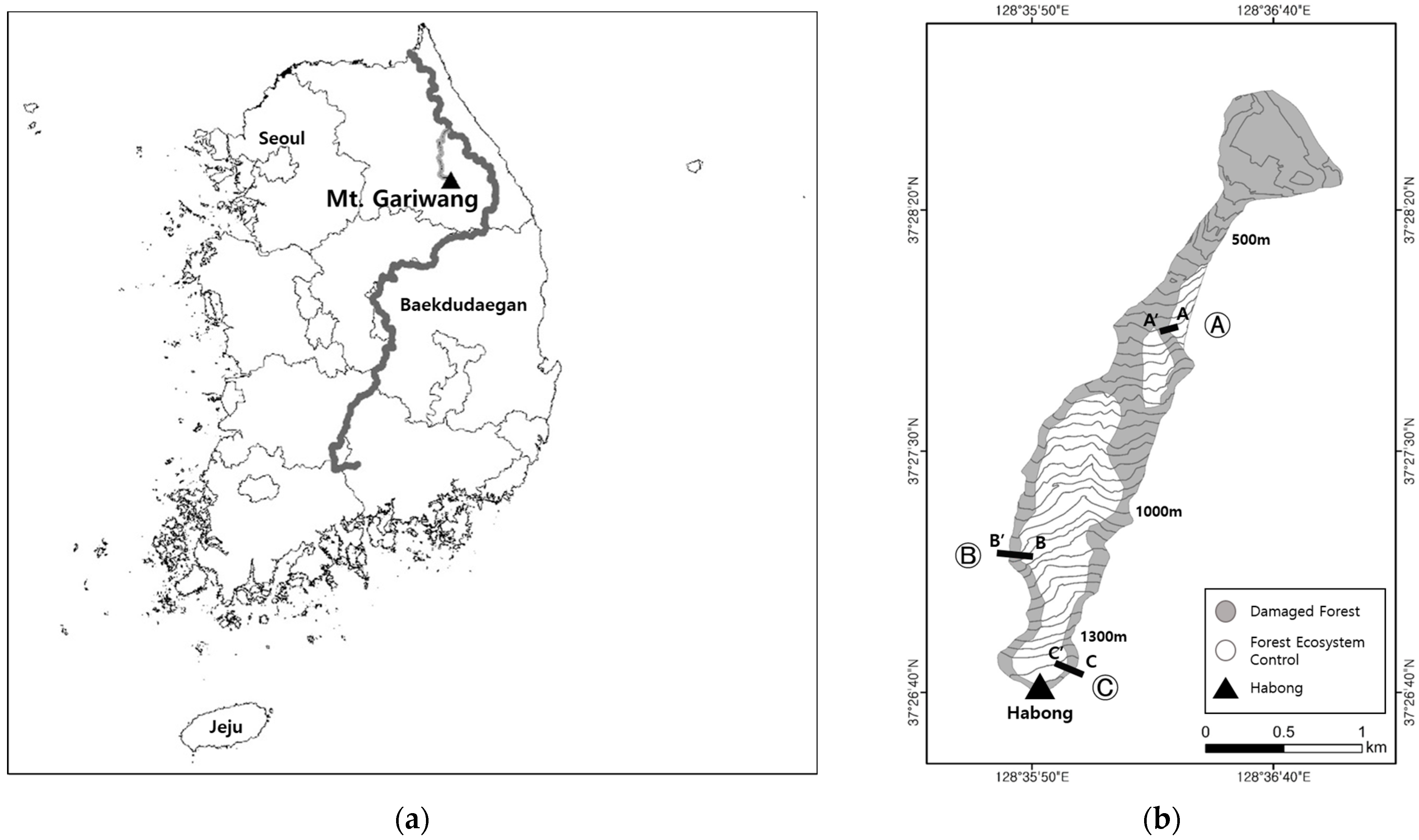 Forests 15 02014 g001 Forests 15 02014 g001