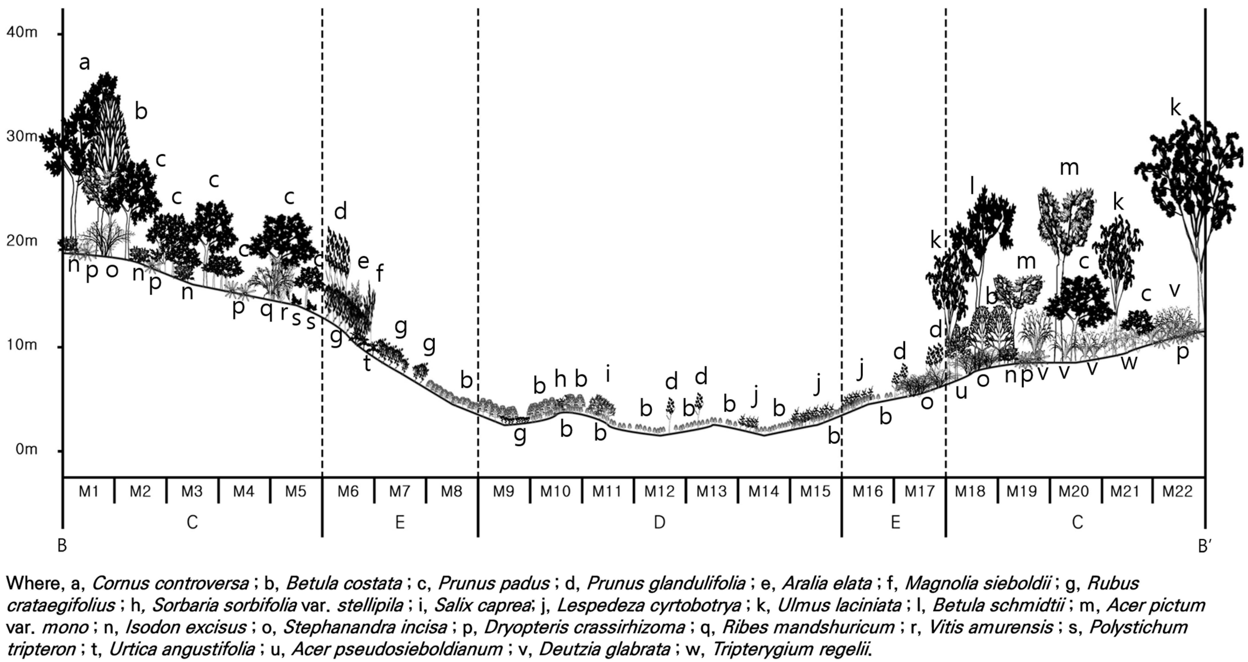 Forests 15 02014 g004 Forests 15 02014 g004