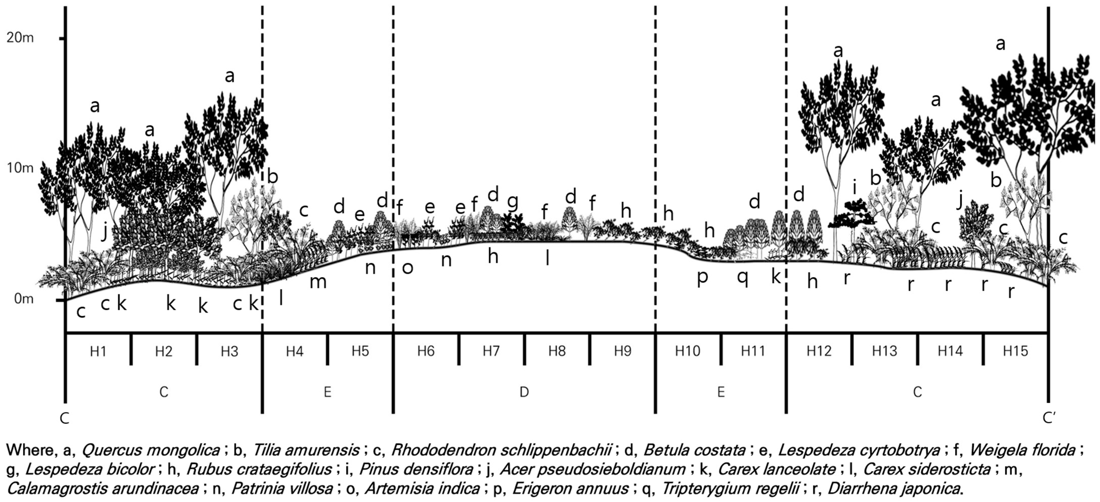 Forests 15 02014 g005 Forests 15 02014 g005