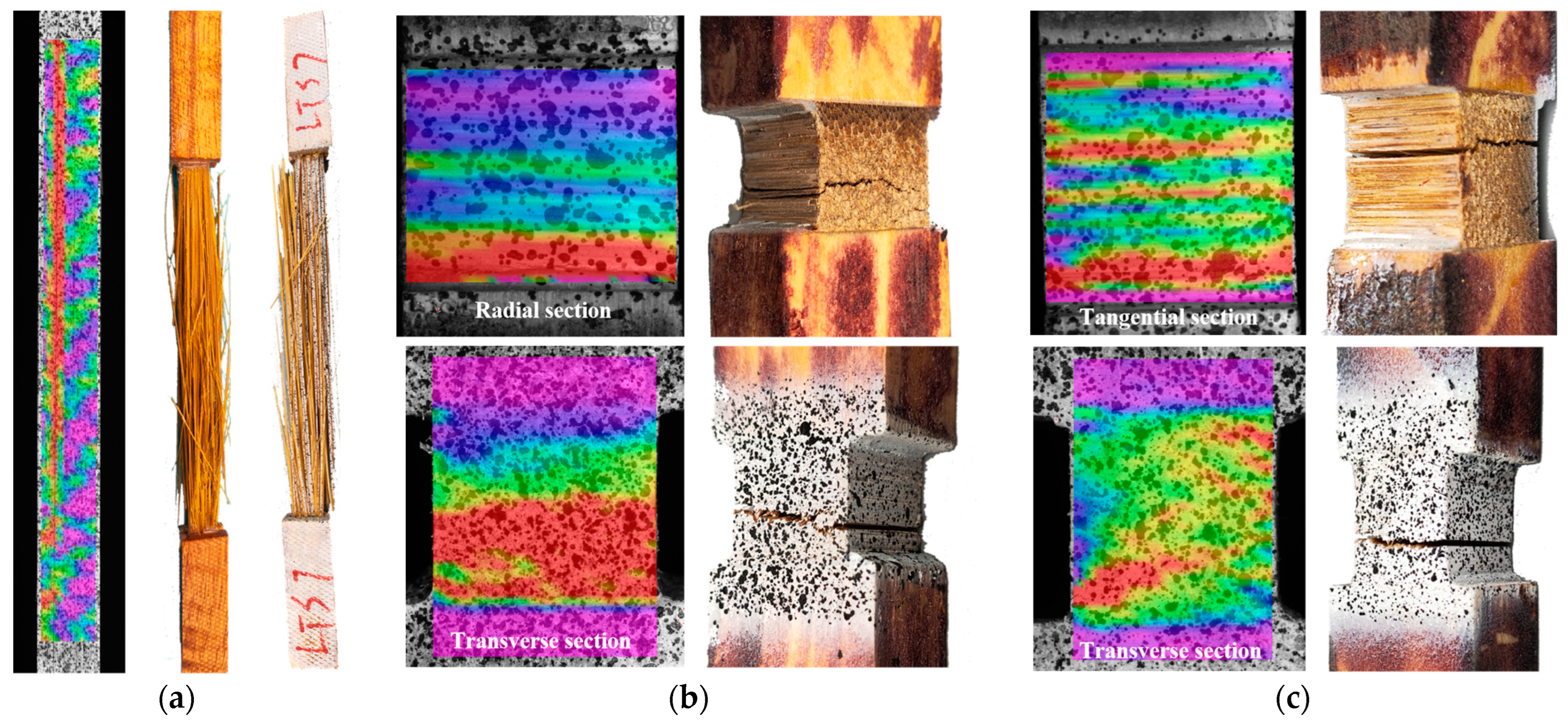 Forests 15 02017 g004