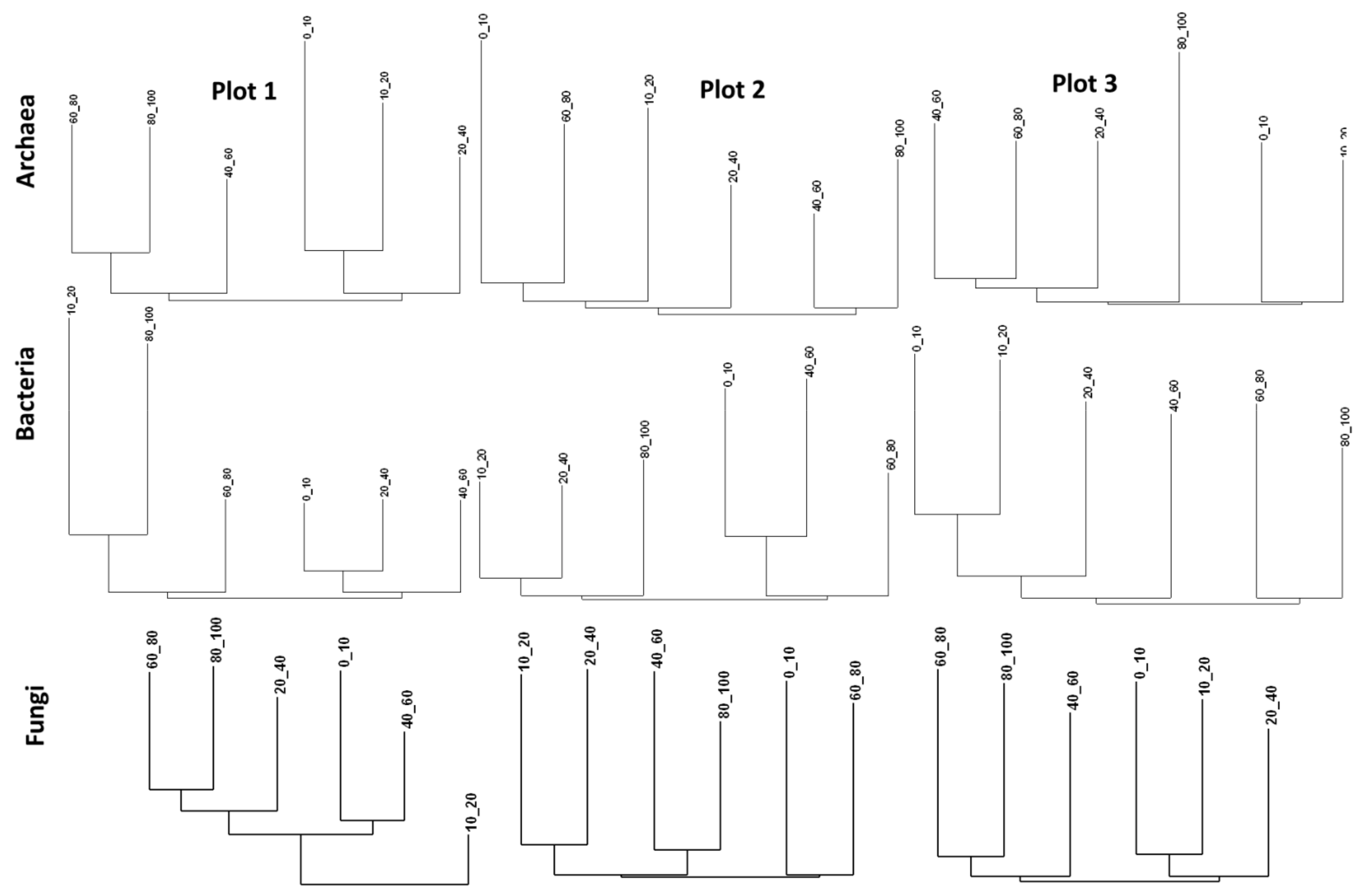 Forests 15 02018 g005