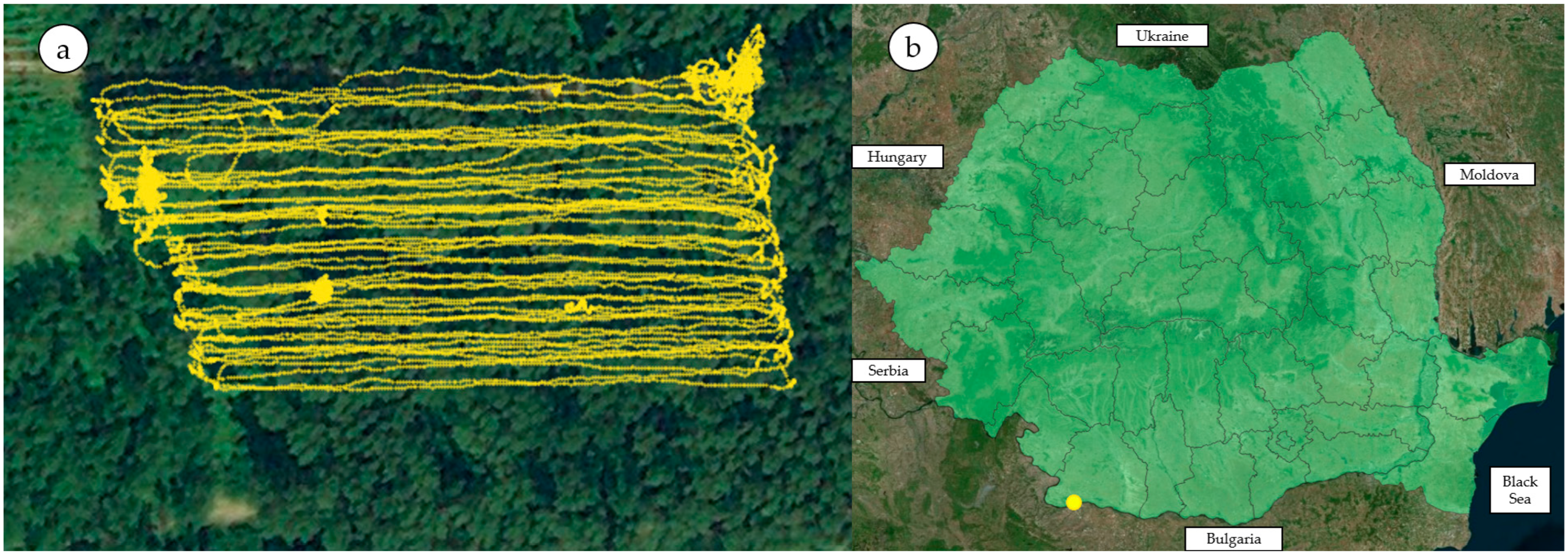 Forests 15 02019 g001