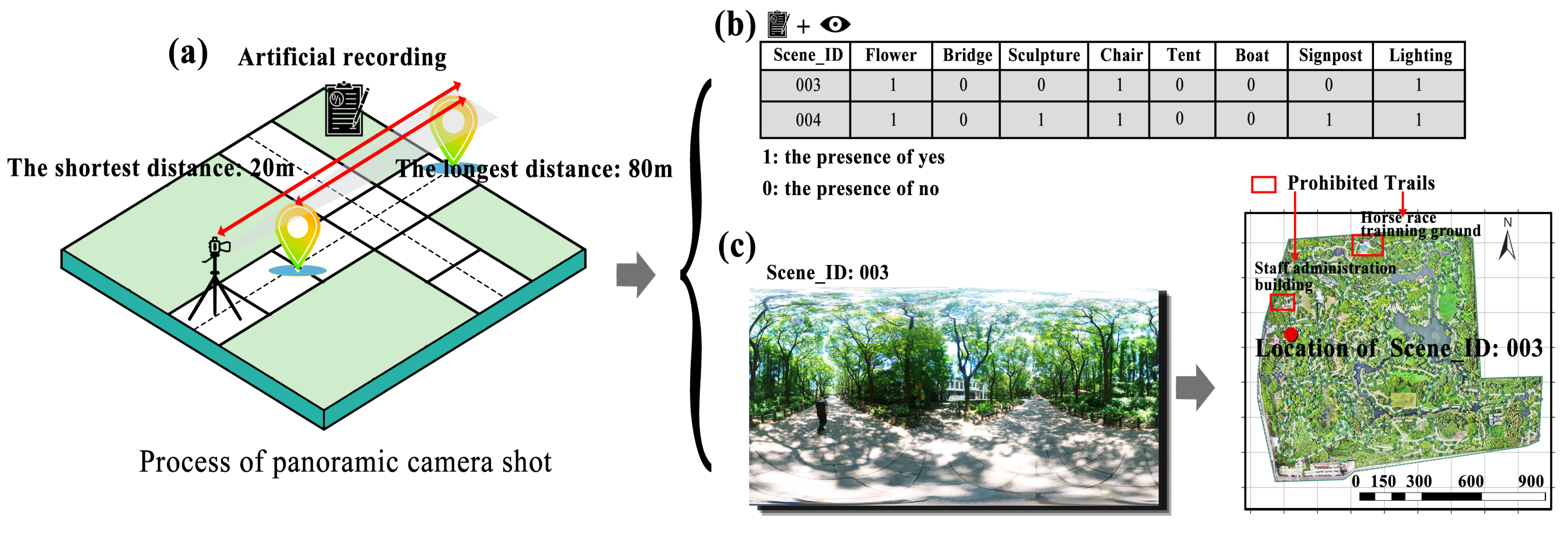 Forests 15 02020 g004