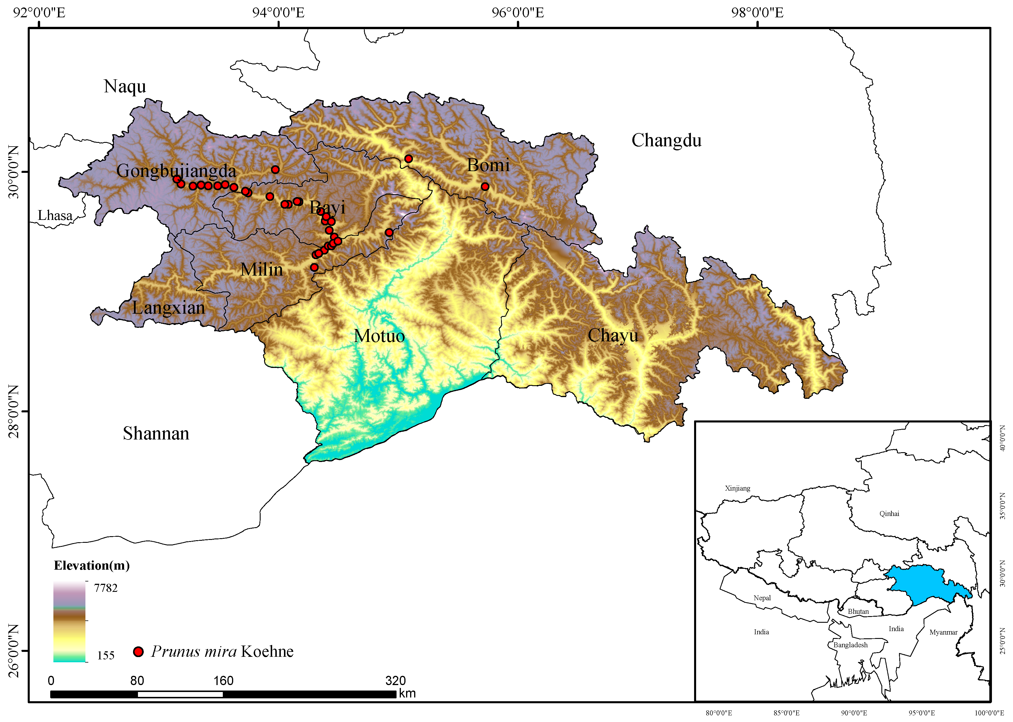 Forests 15 02022 g001