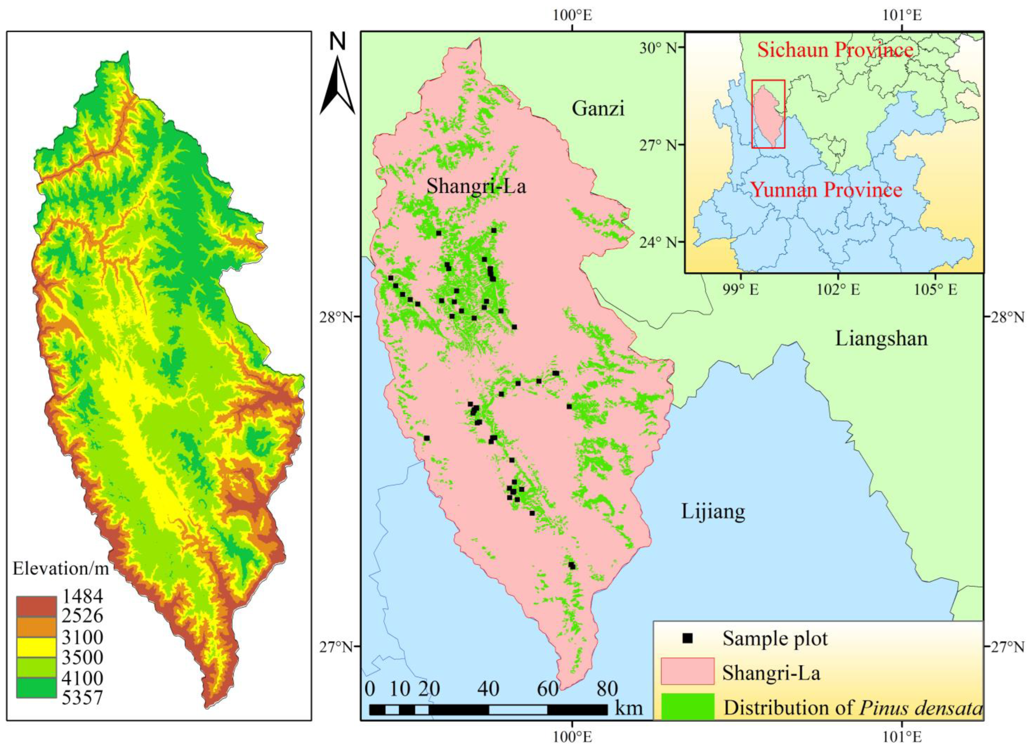 Forests 15 02023 g001