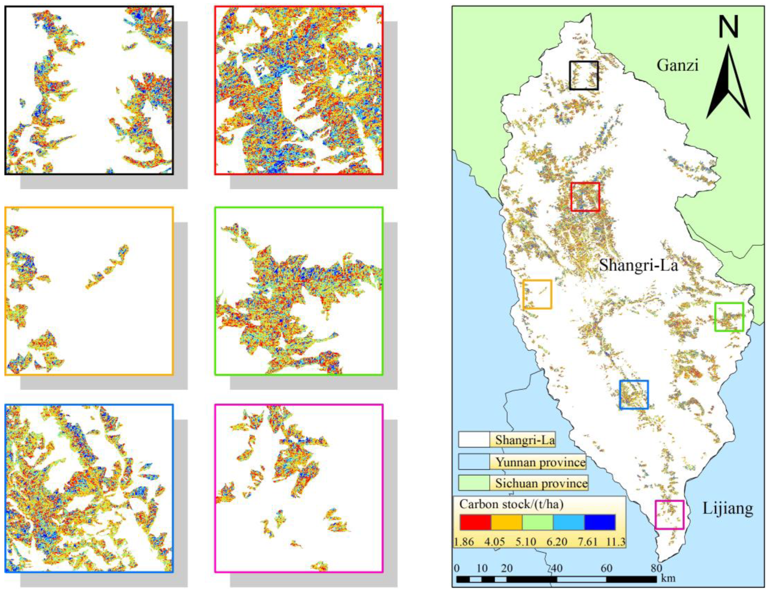 Forests 15 02023 g008