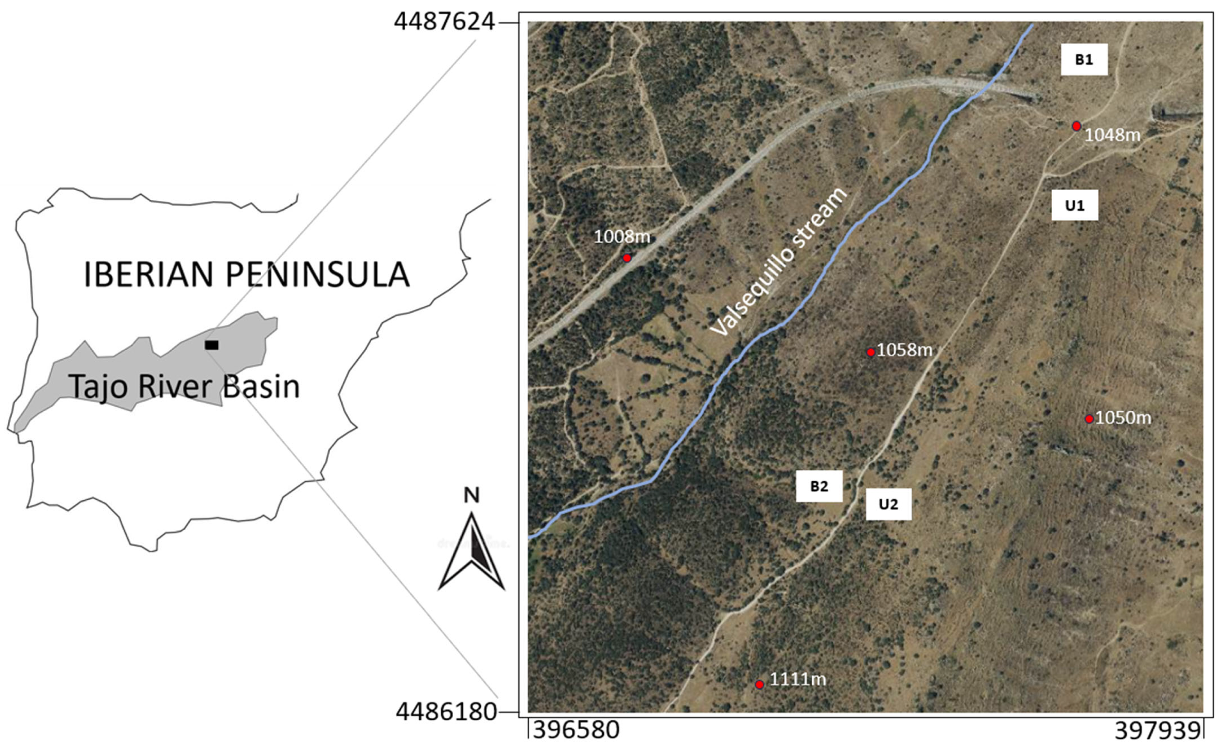 Forests 15 02033 g001