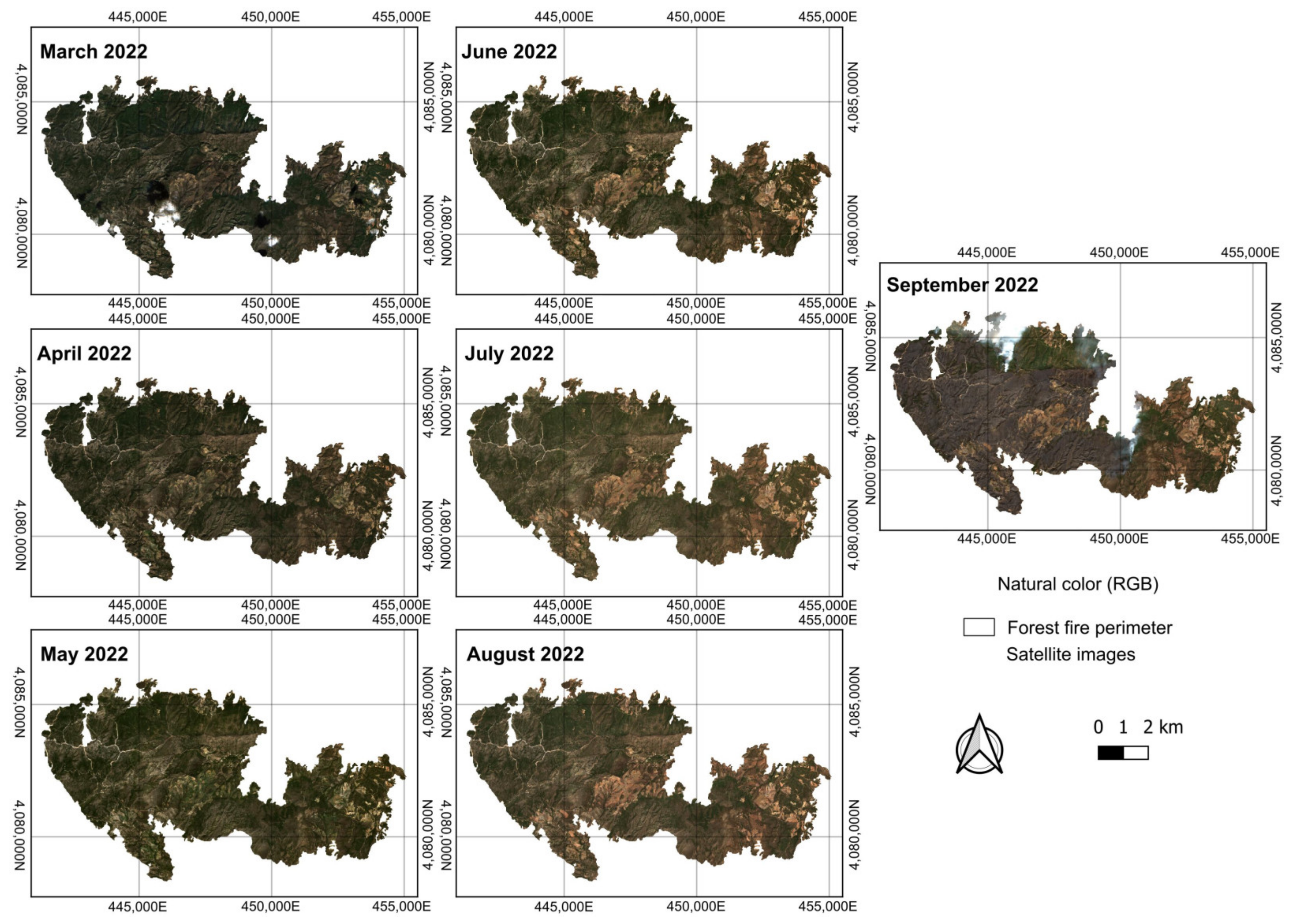 Forests 15 02036 g005