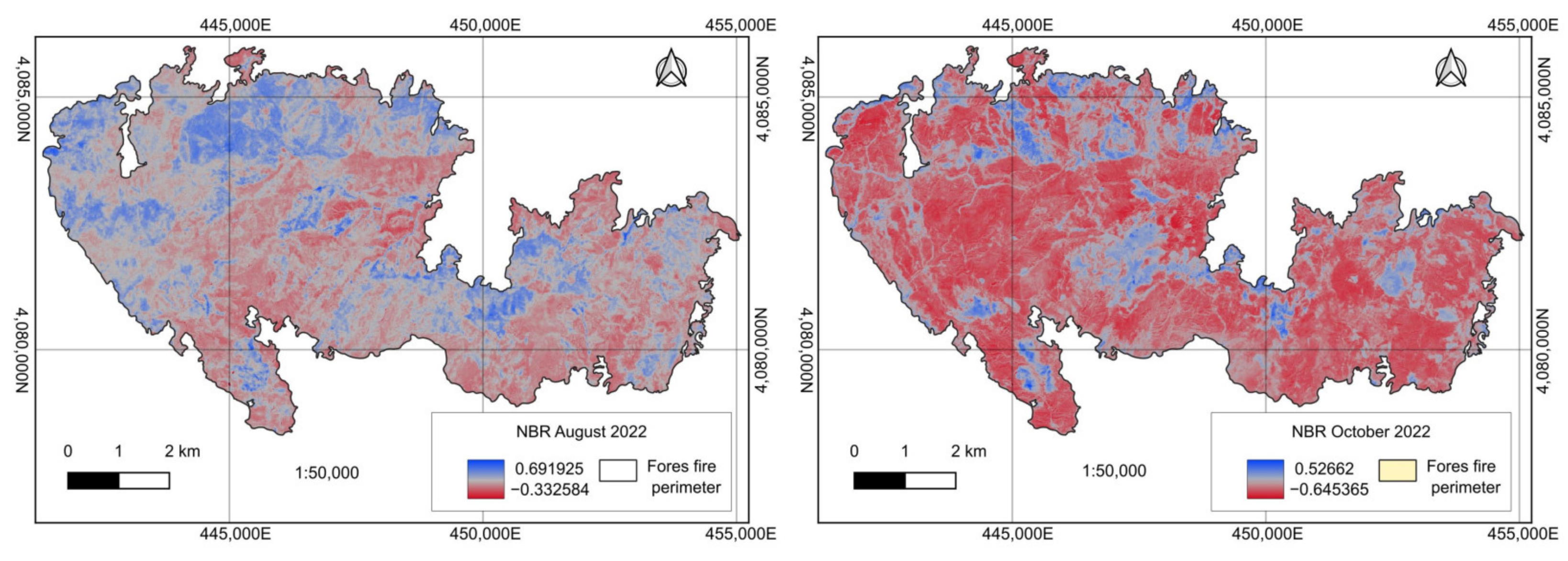 Forests 15 02036 g011