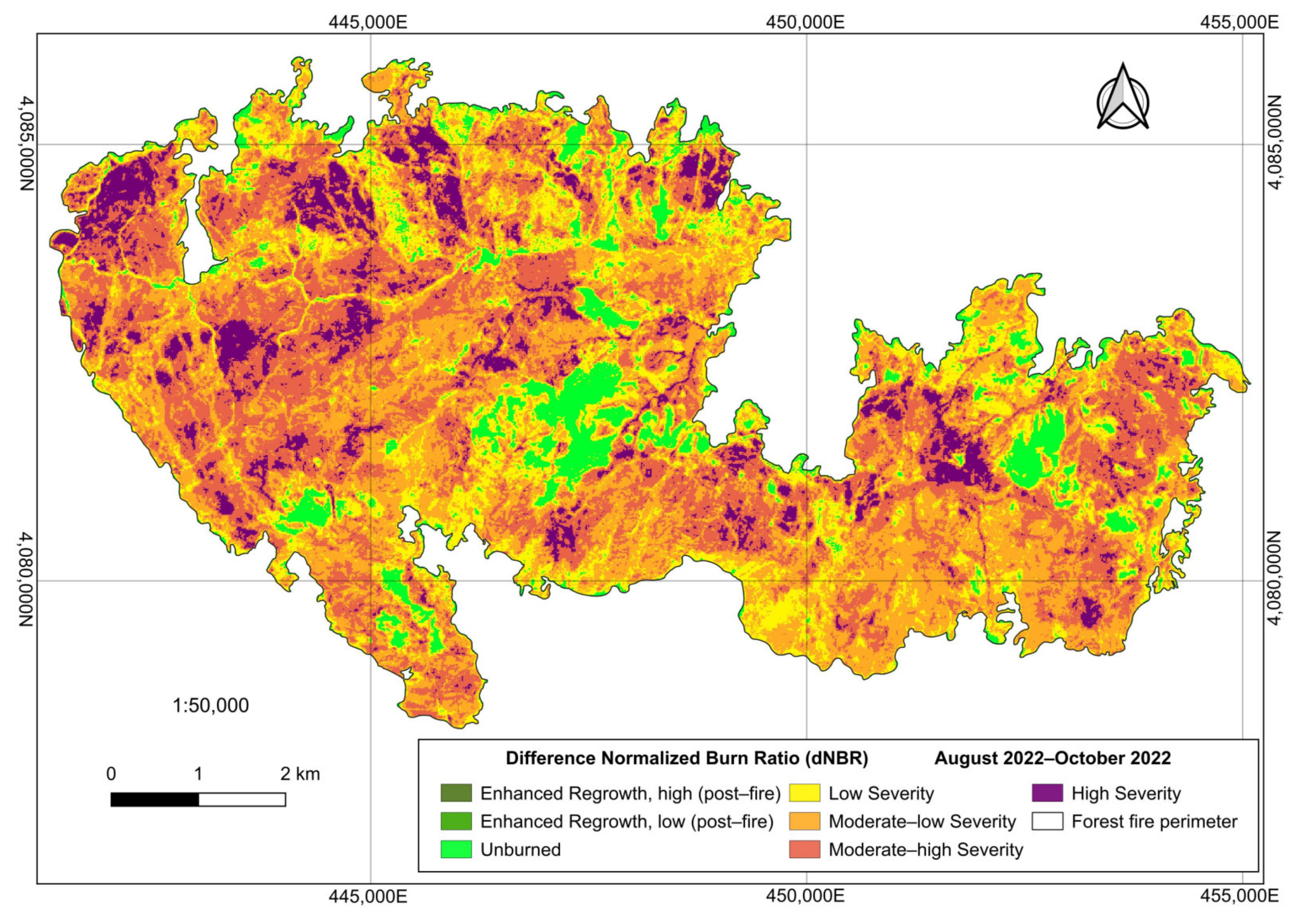 Forests 15 02036 g012