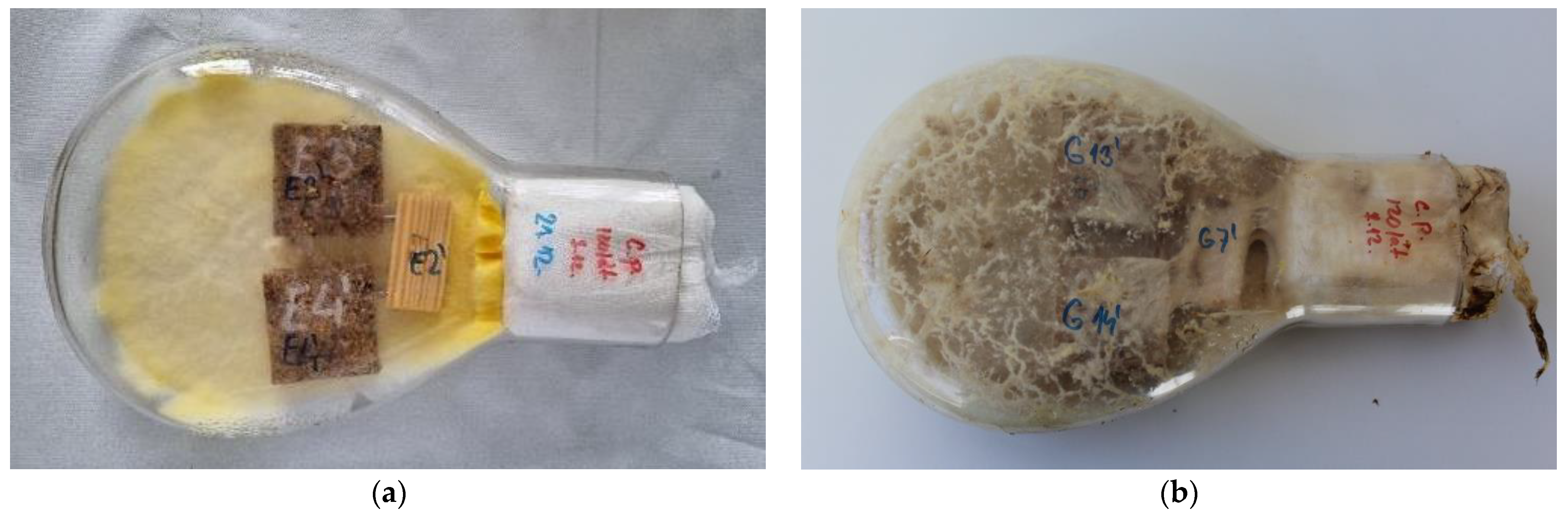 Forests 15 02043 g002 Forests 15 02043 g002