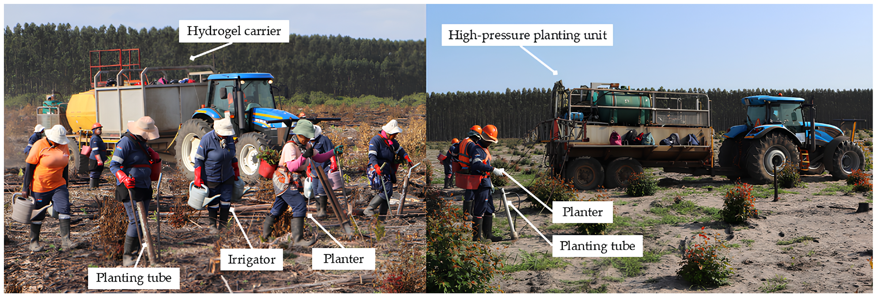 Forests 15 02045 g001