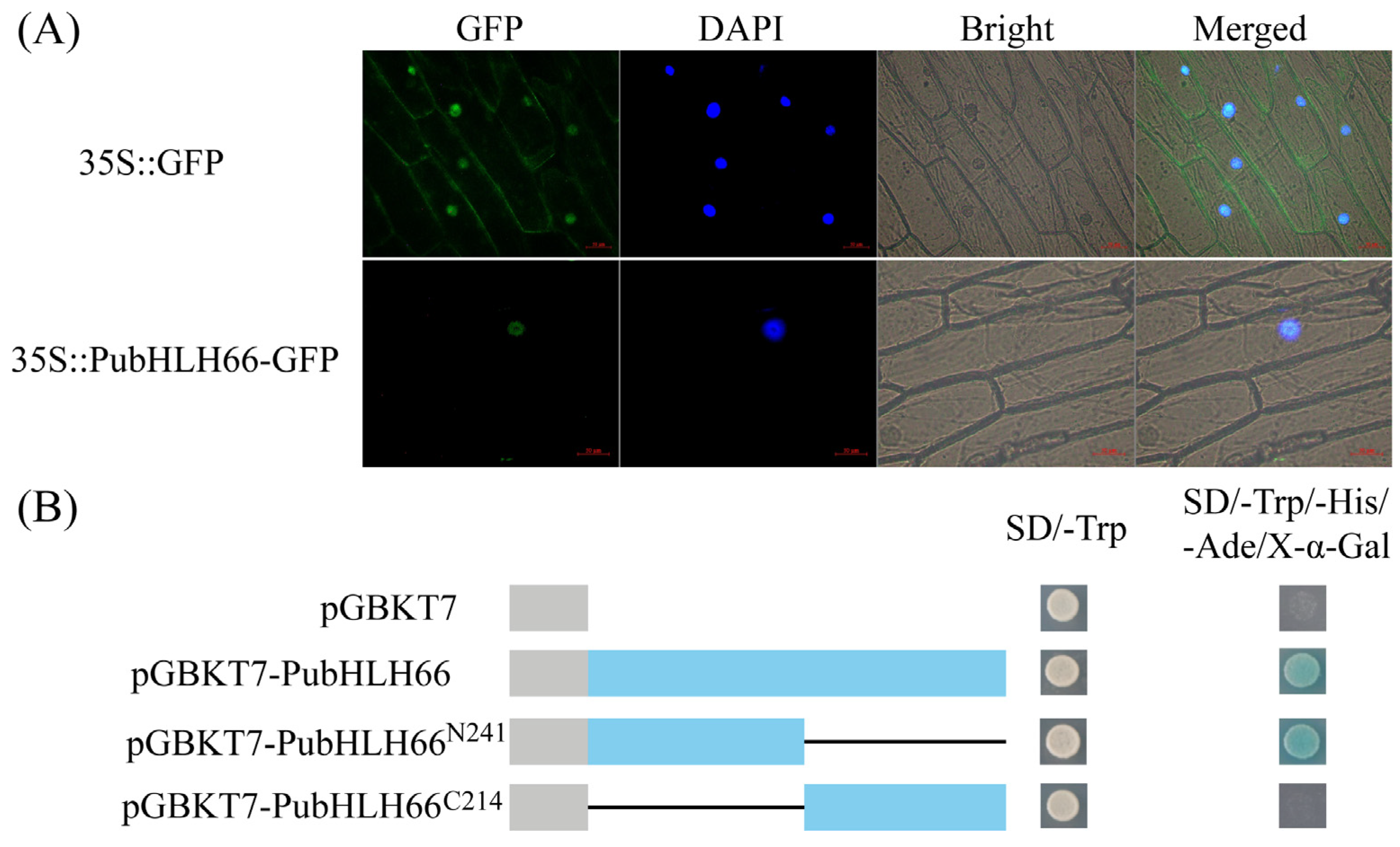 Forests 15 02051 g002