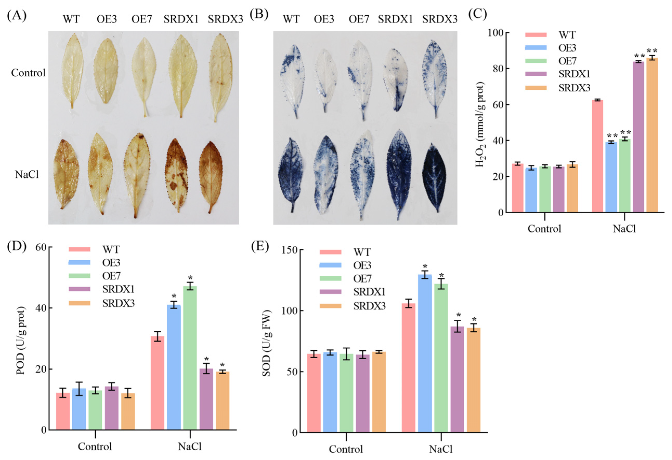 Forests 15 02051 g004