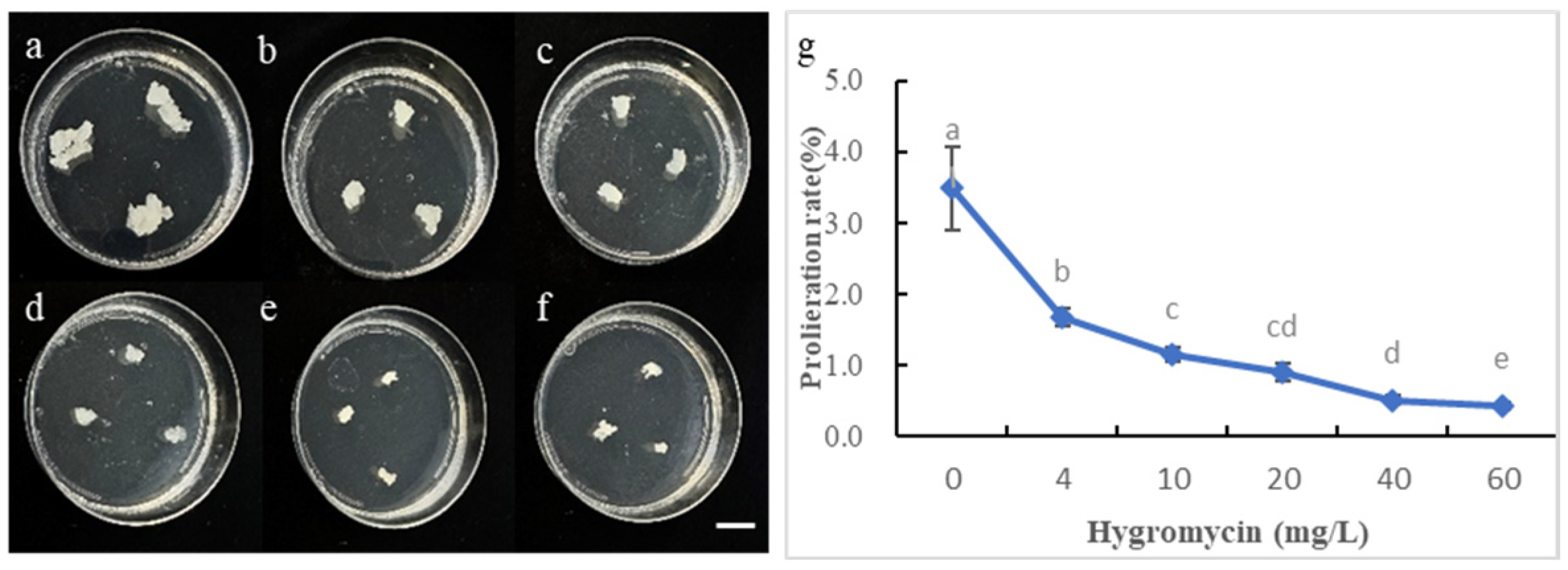 Forests 15 02058 g004