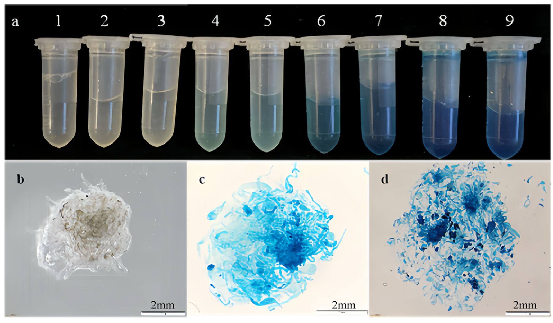 Forests 15 02058 g005