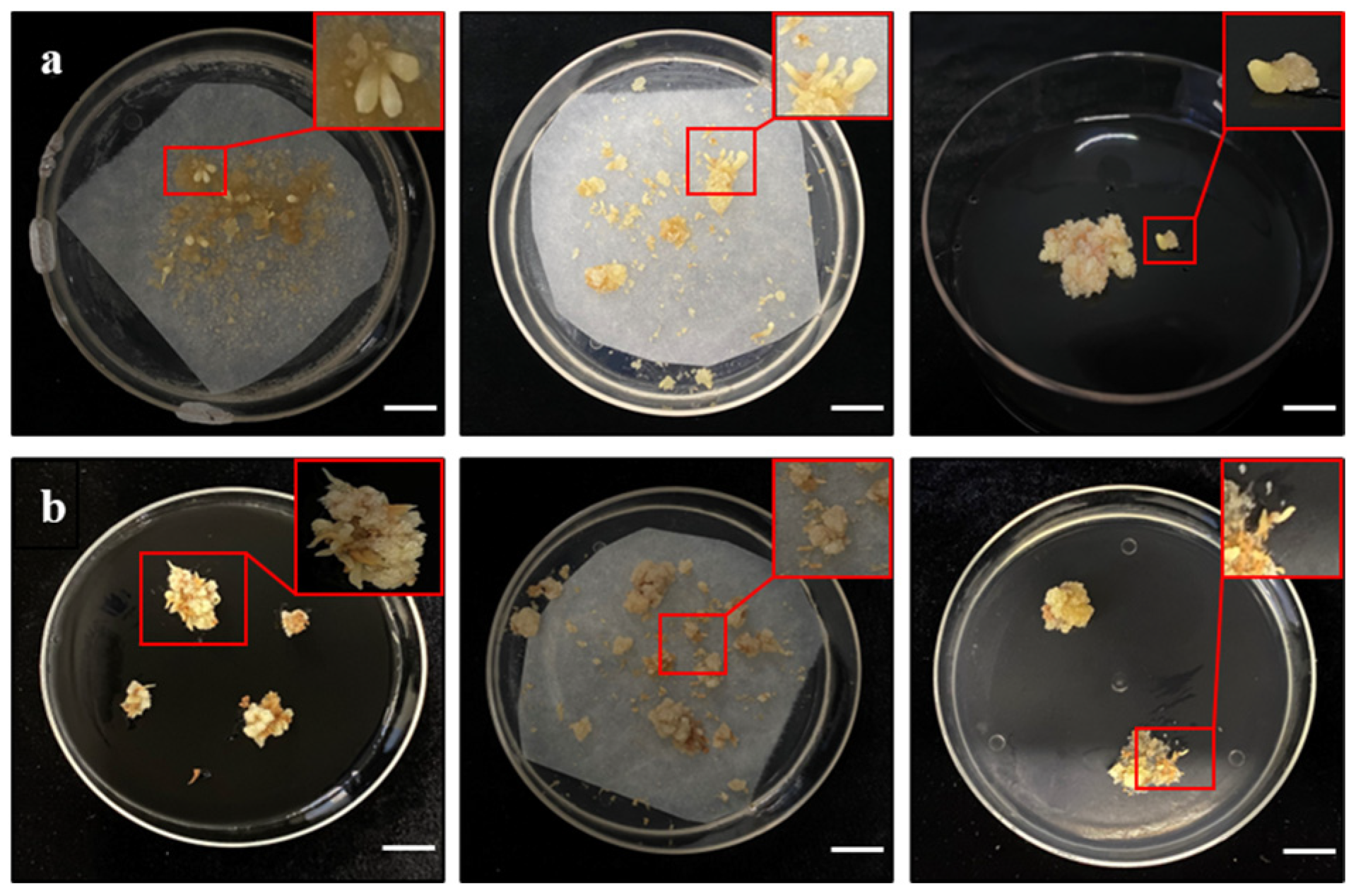 Forests 15 02058 g007