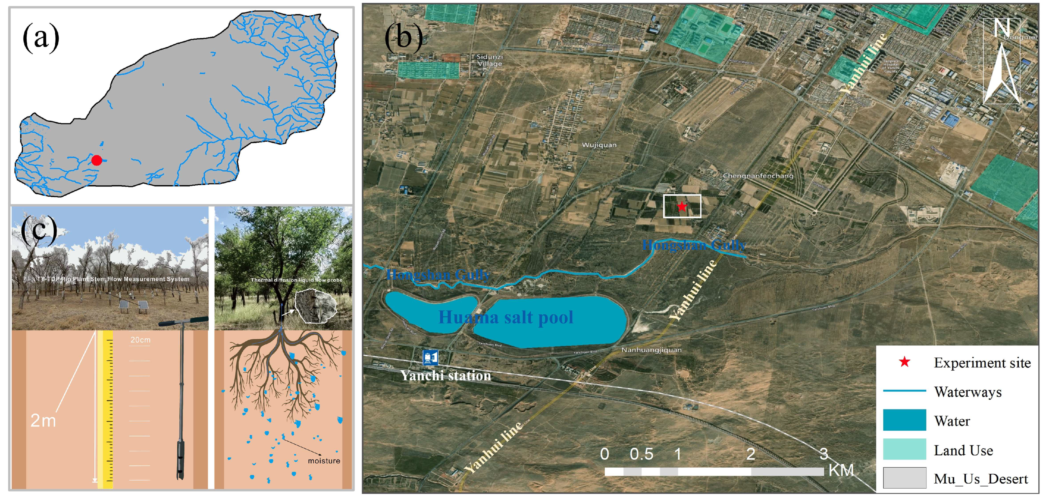 Forests 15 02061 g001