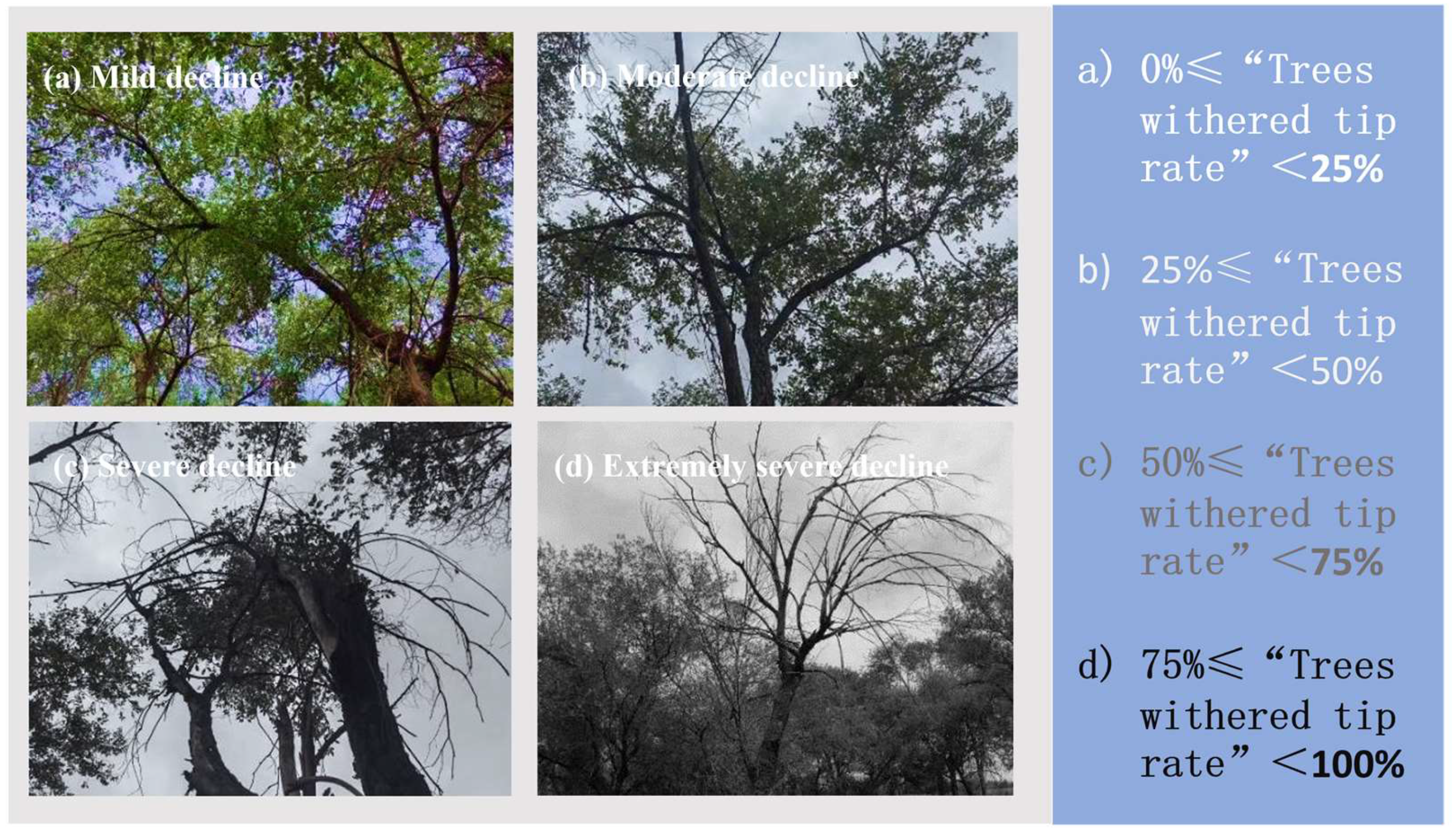 Forests 15 02061 g002