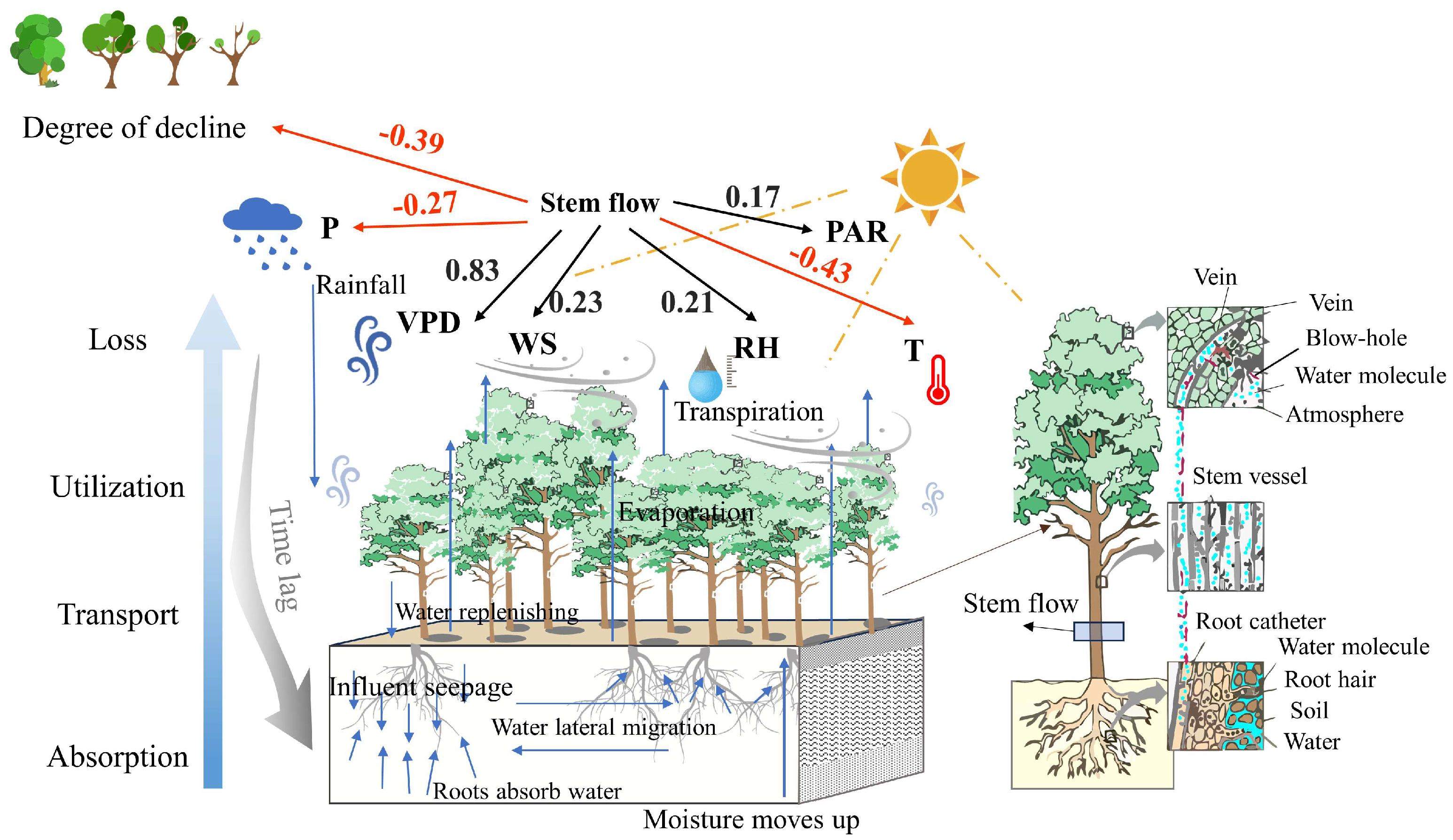 Forests 15 02061 g013