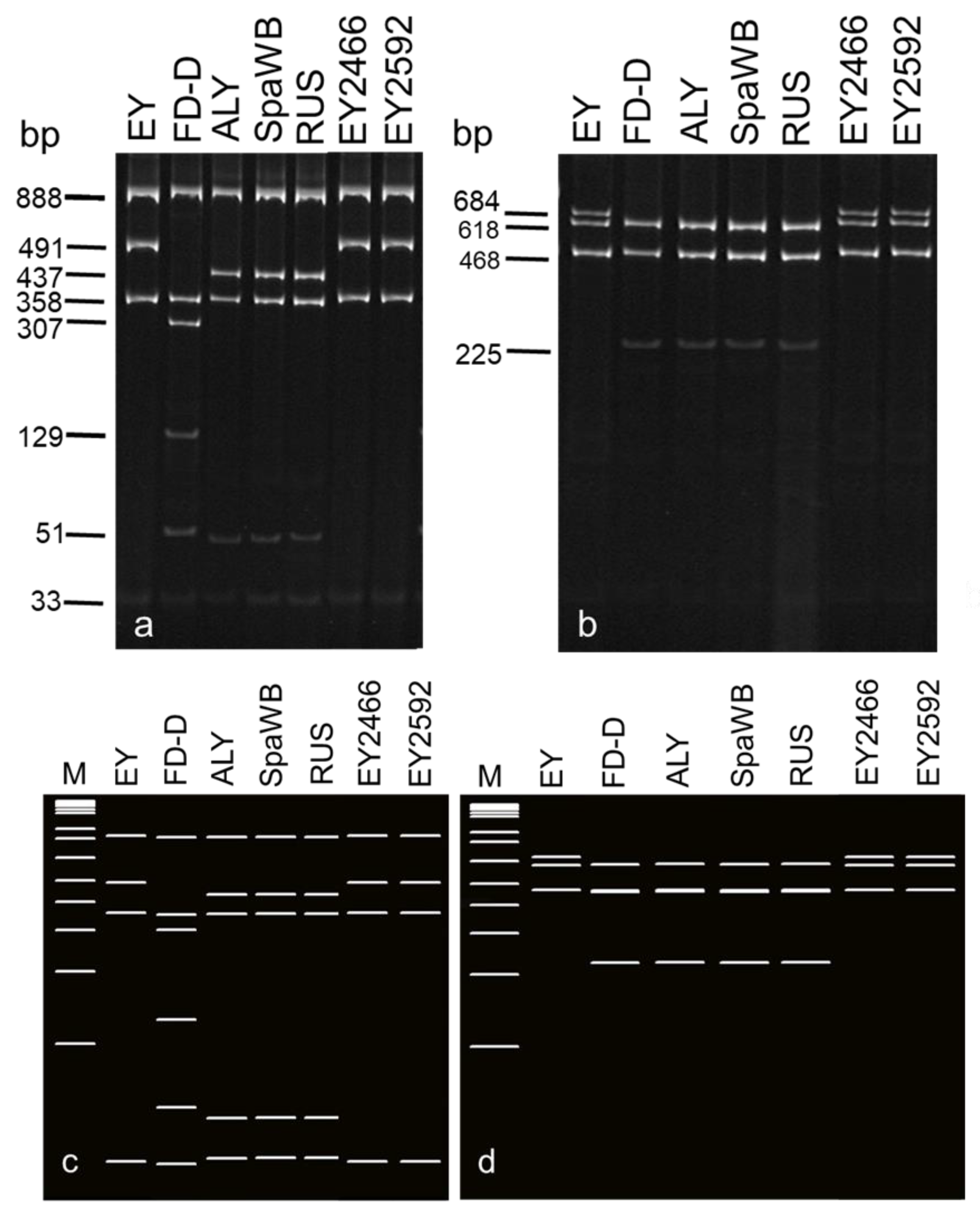 Forests 15 02067 g004