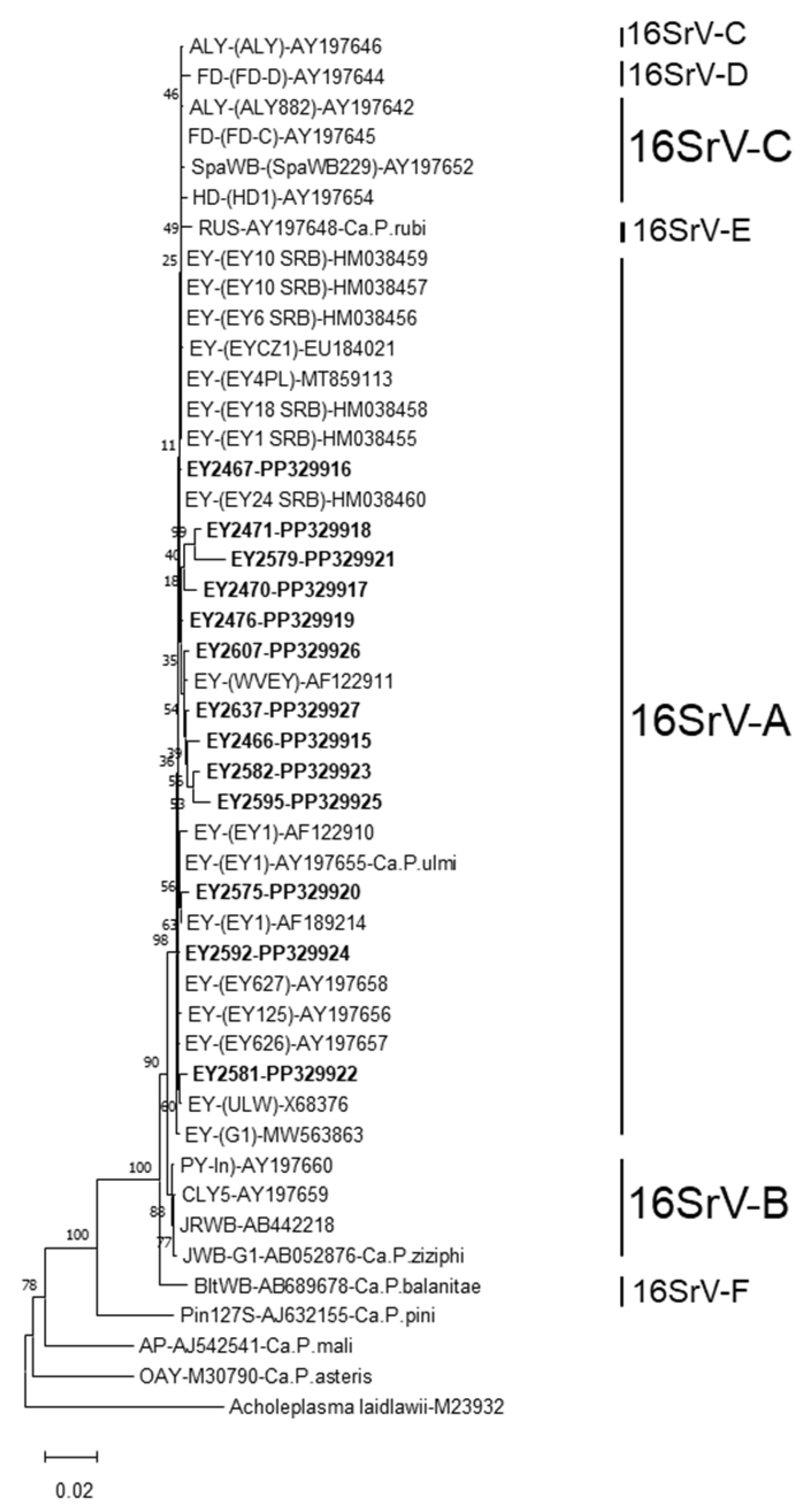 Forests 15 02067 g006