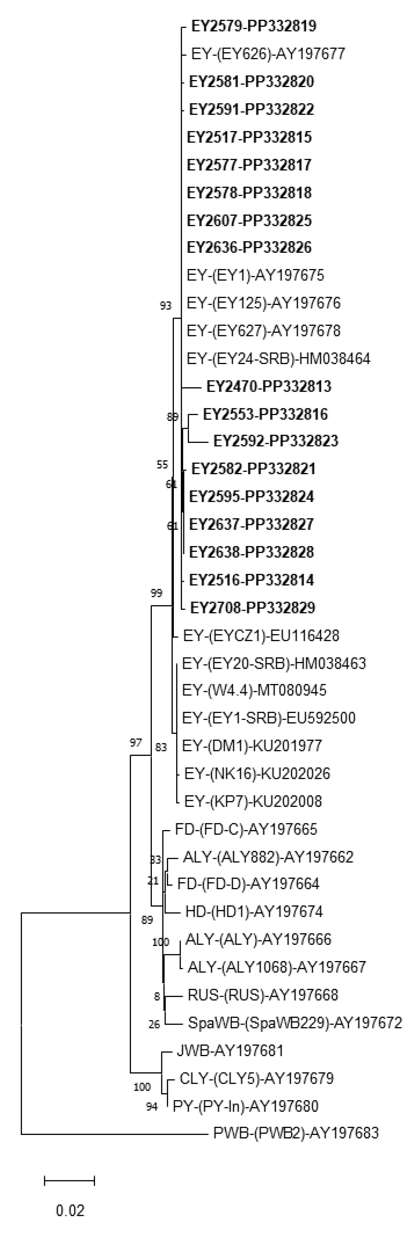 Forests 15 02067 g007