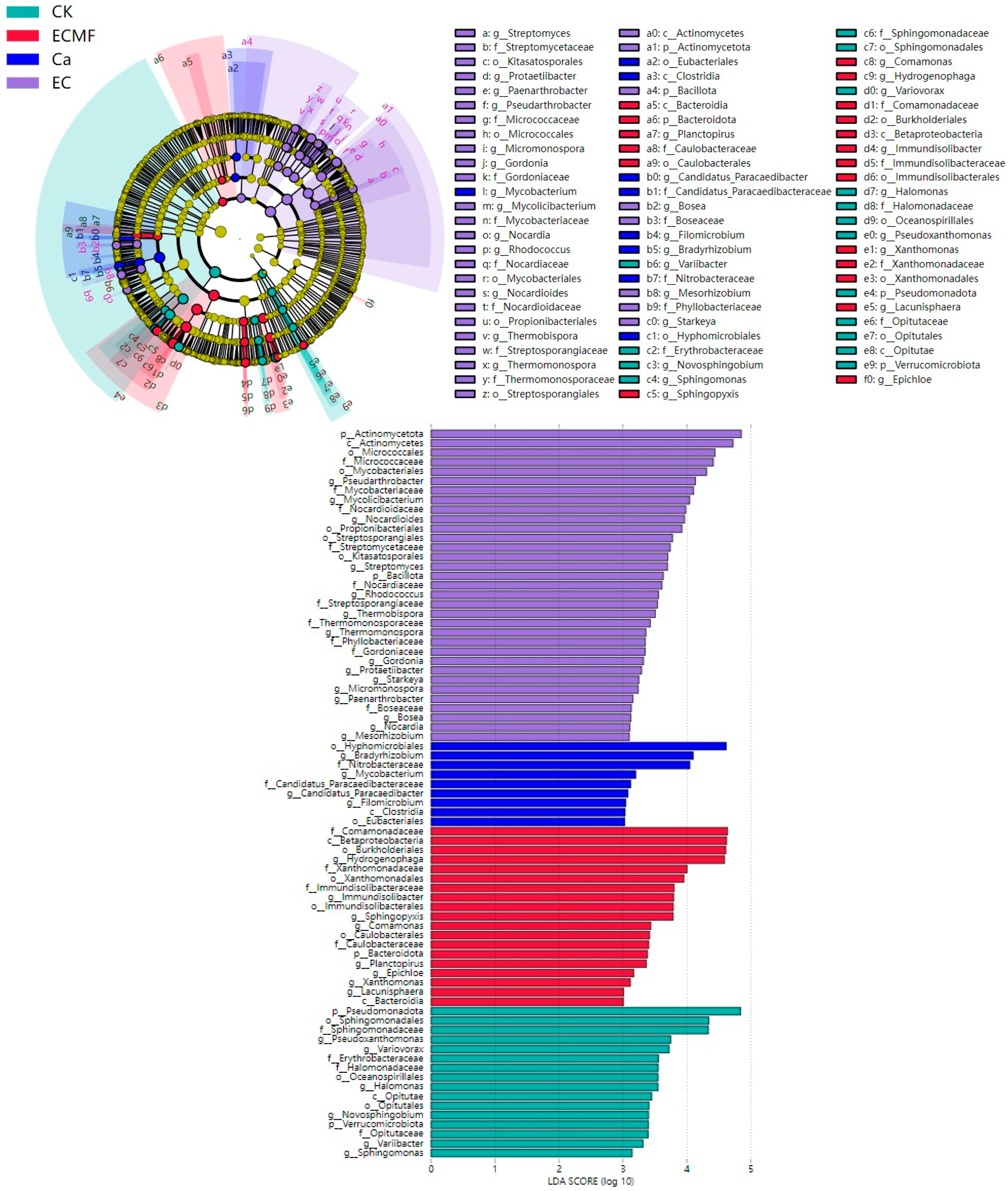Forests 15 02068 g003