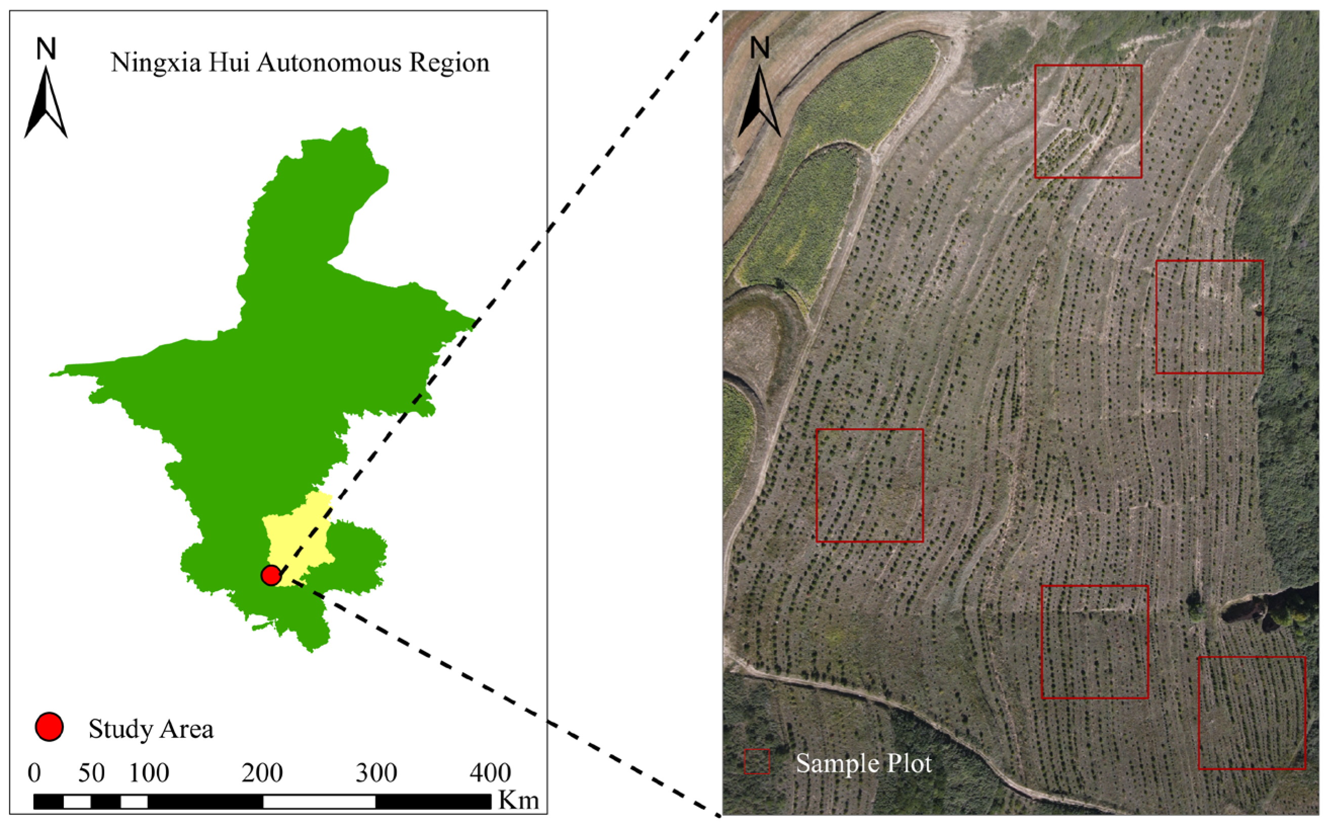 Forests 15 02074 g001