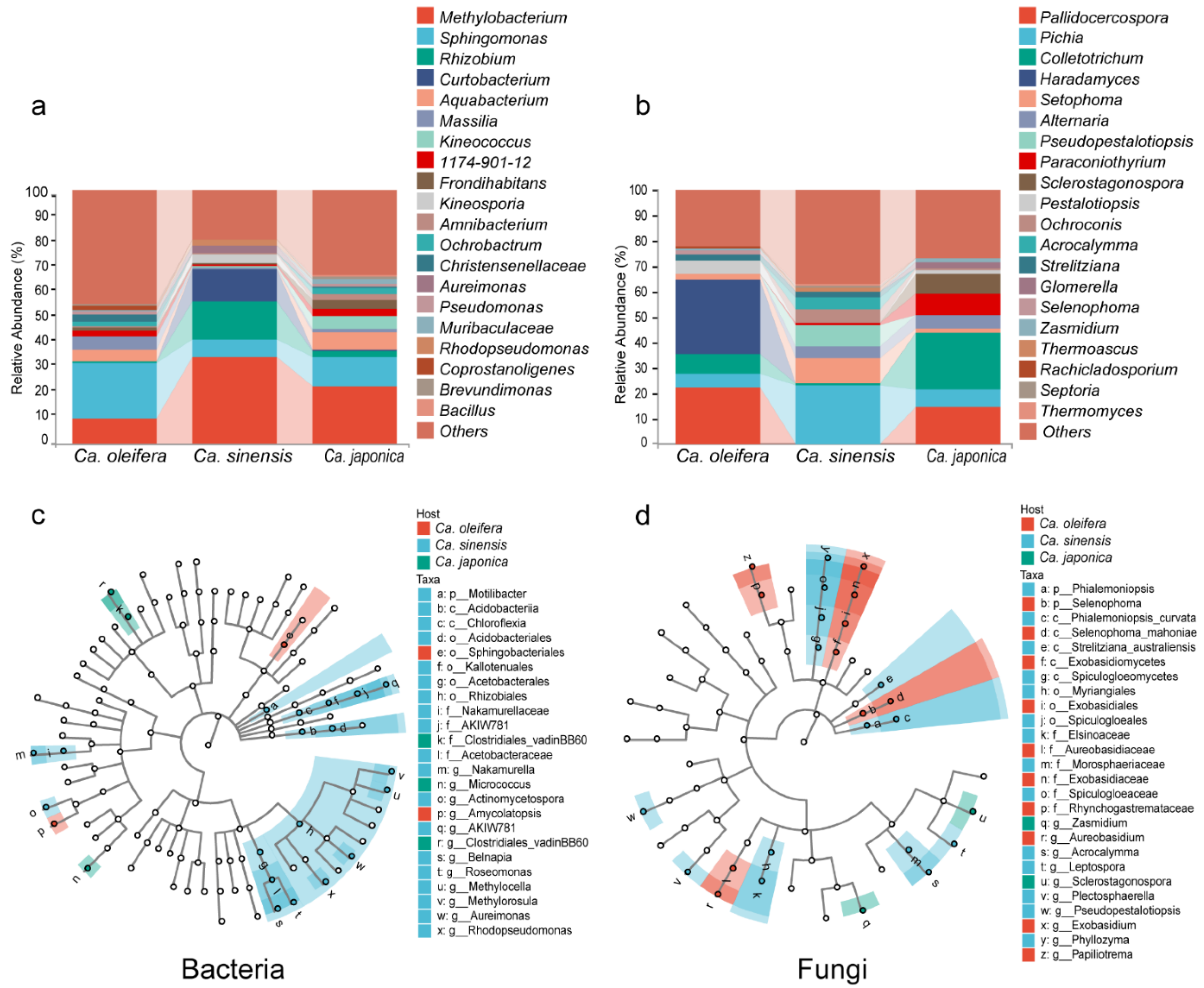 Forests 15 02080 g002