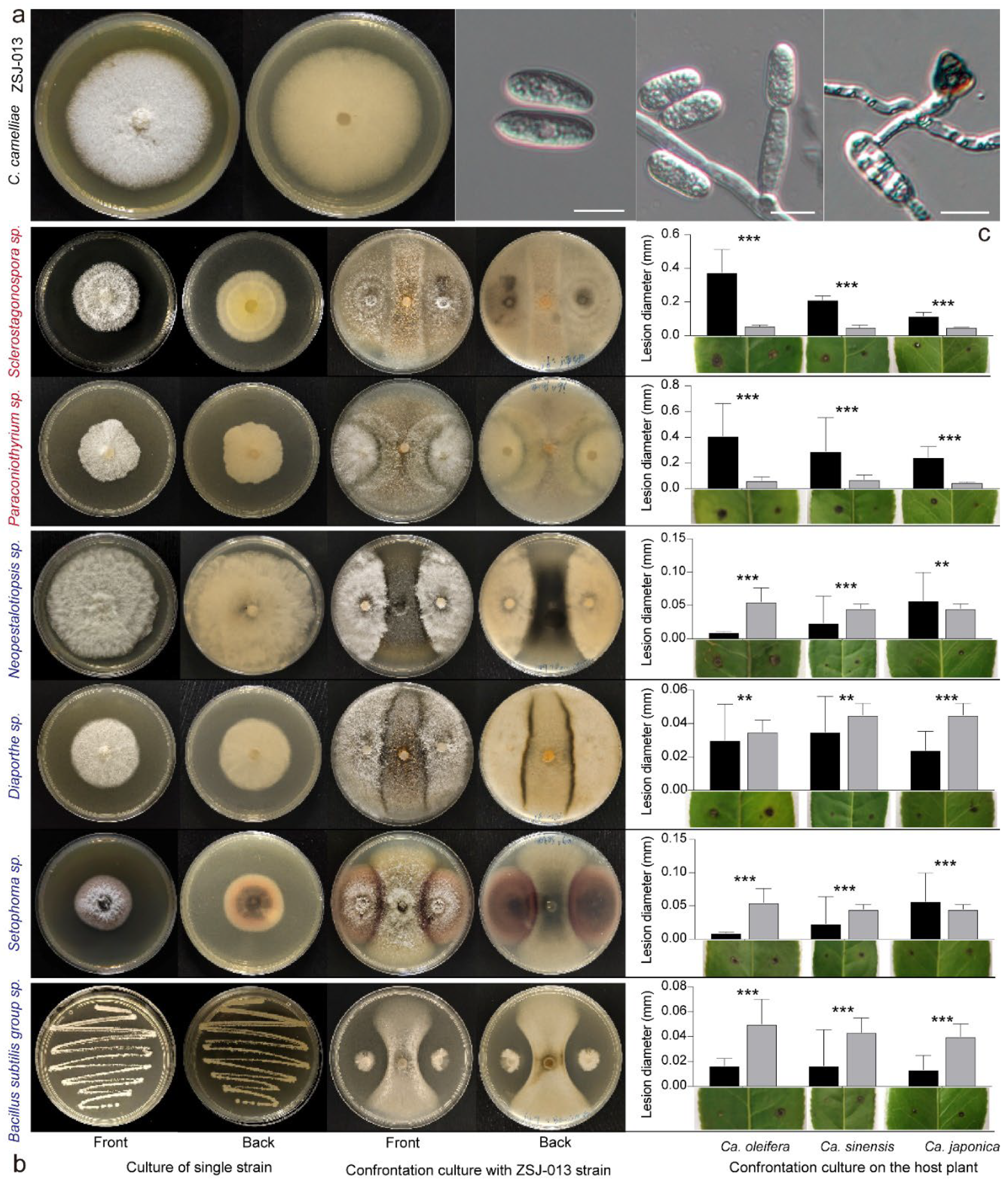 Forests 15 02080 g006