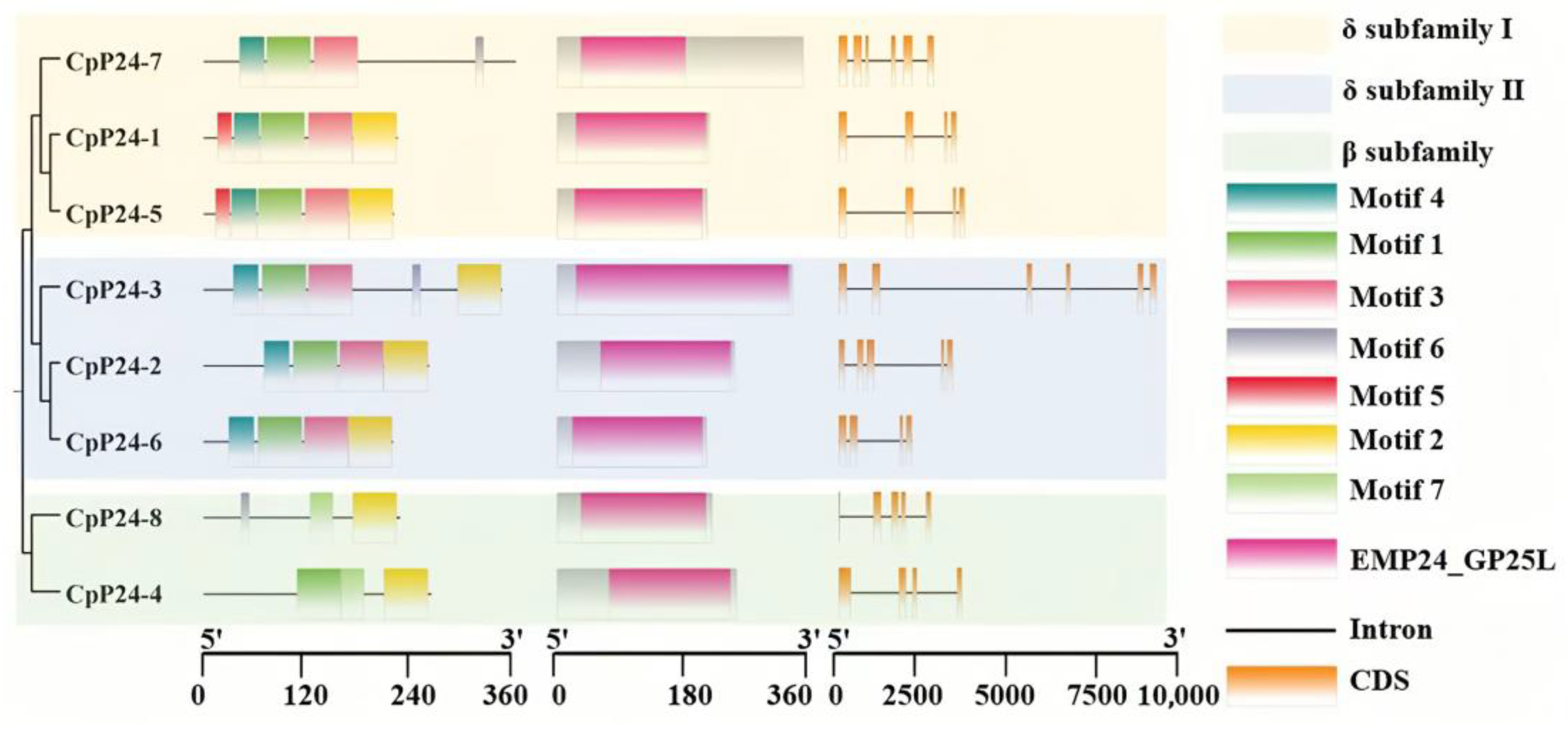 Forests 15 02081 g002