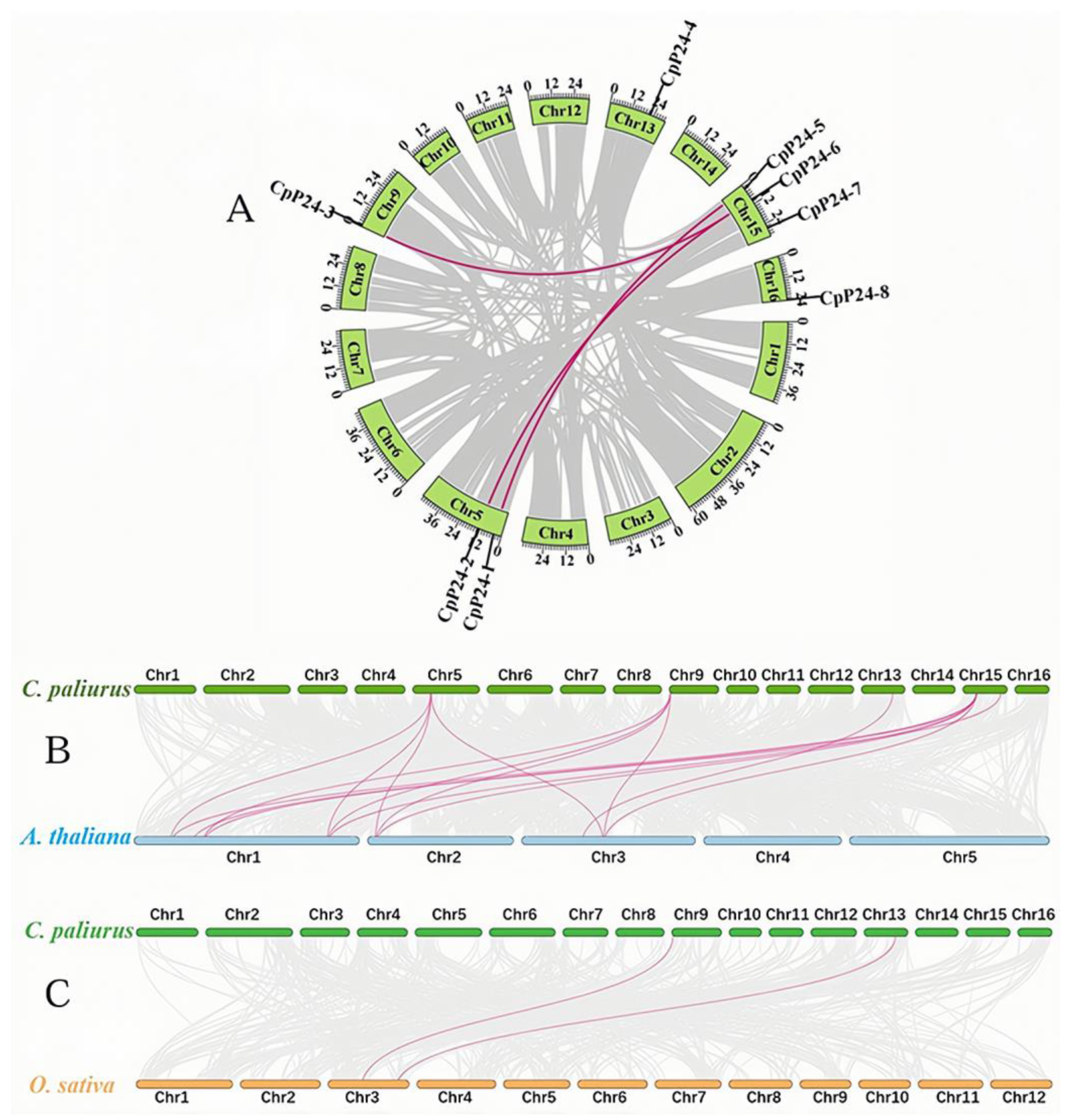 Forests 15 02081 g003