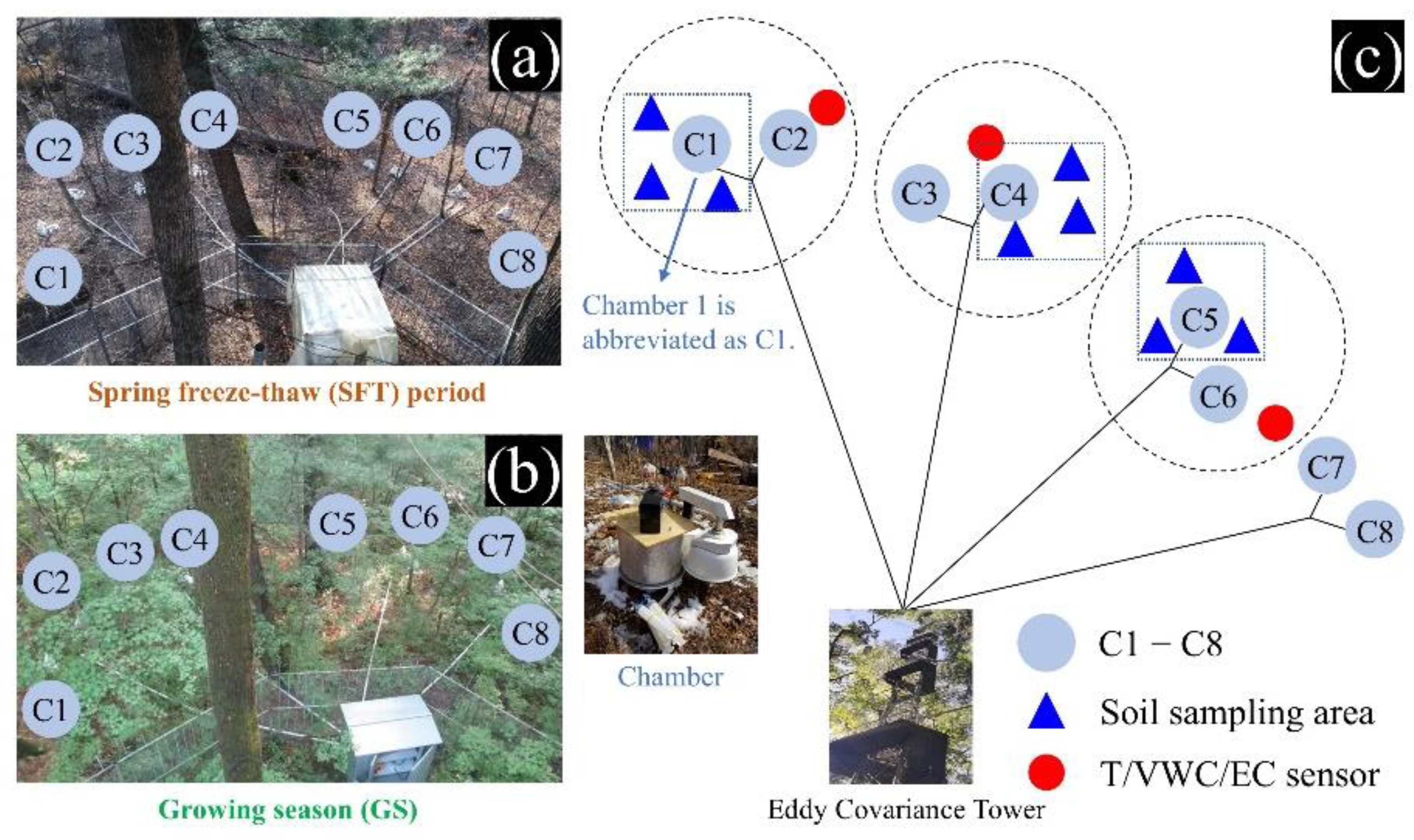 Forests 15 02082 g001